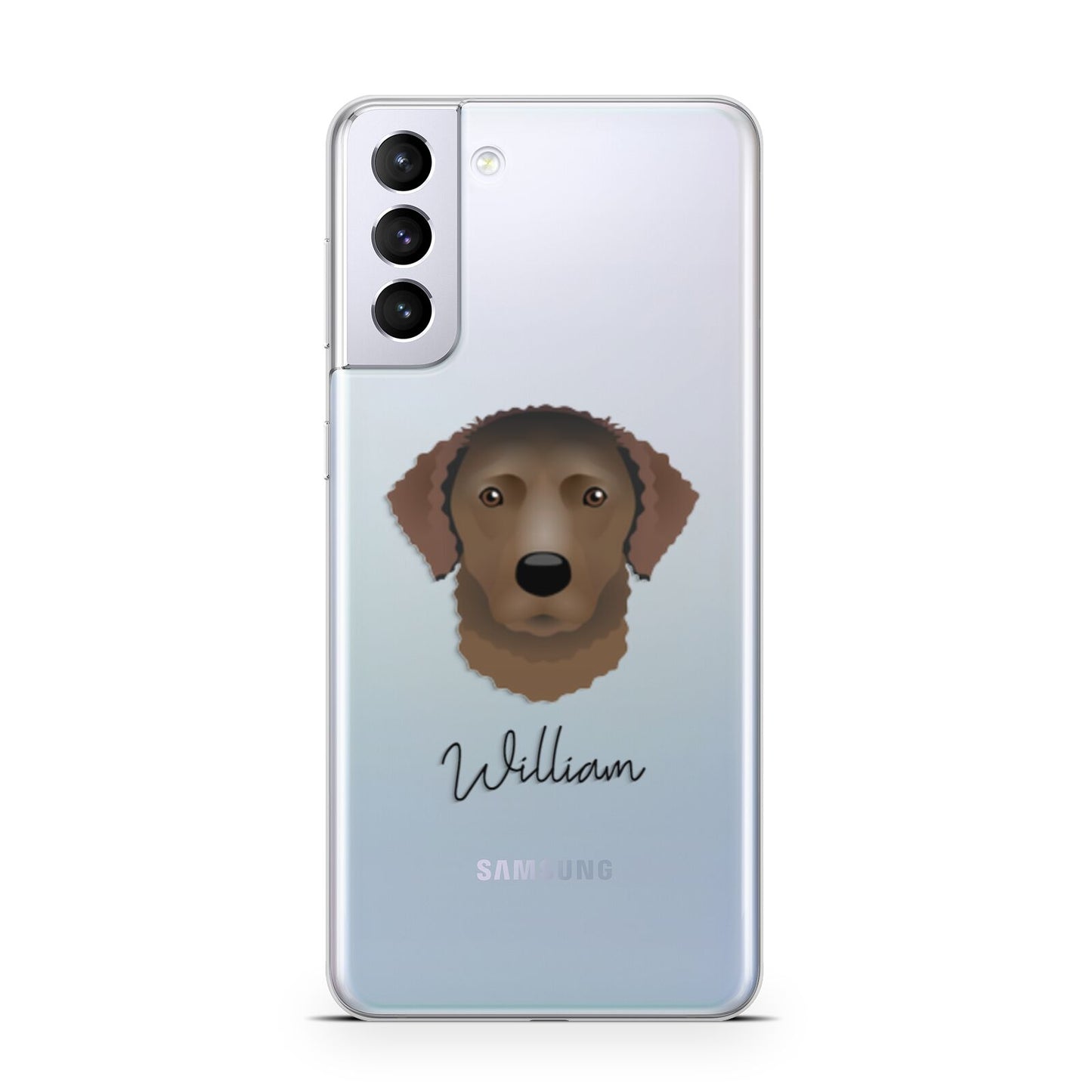 Curly Coated Retriever Personalised Samsung S21 Plus Phone Case