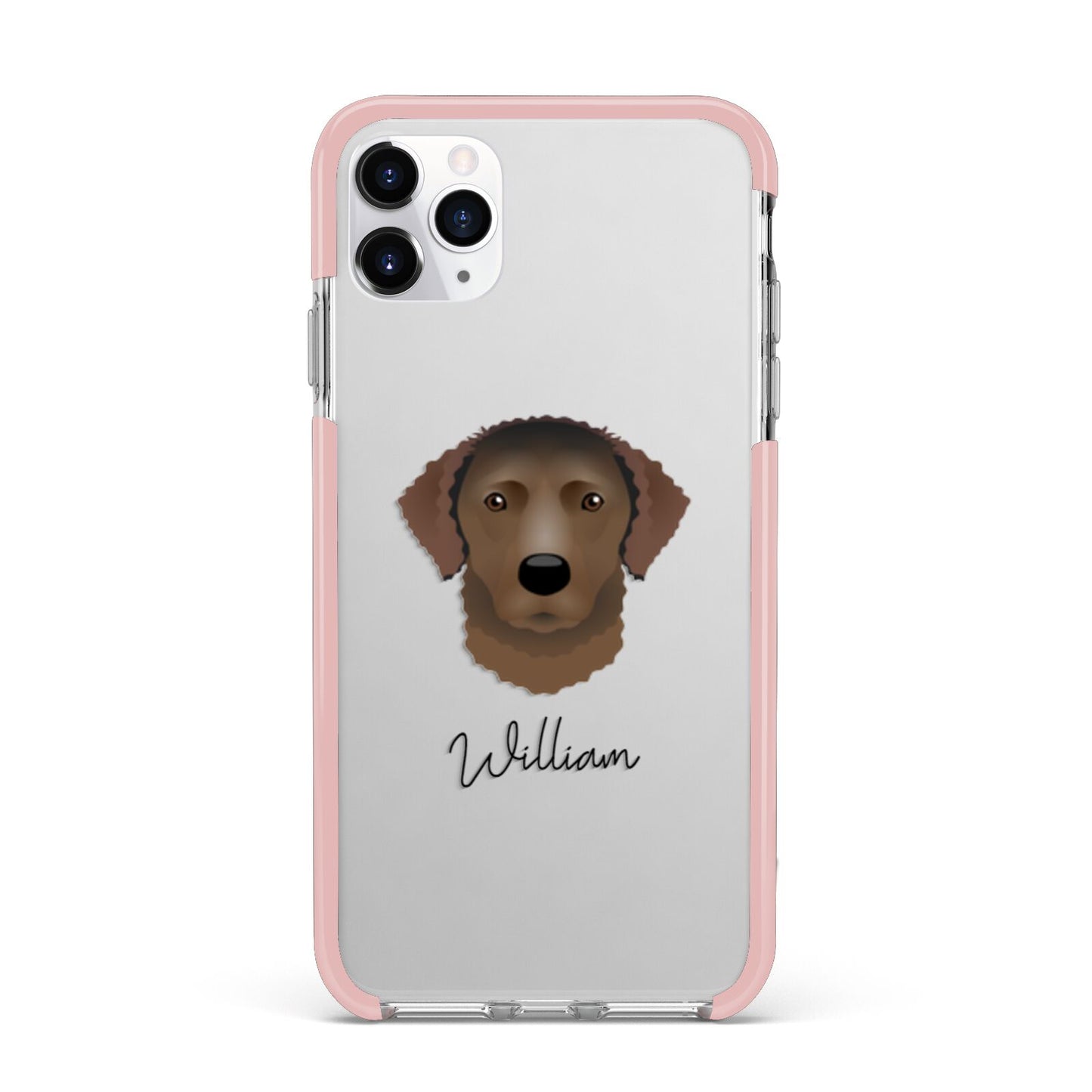 Curly Coated Retriever Personalised iPhone 11 Pro Max Impact Pink Edge Case