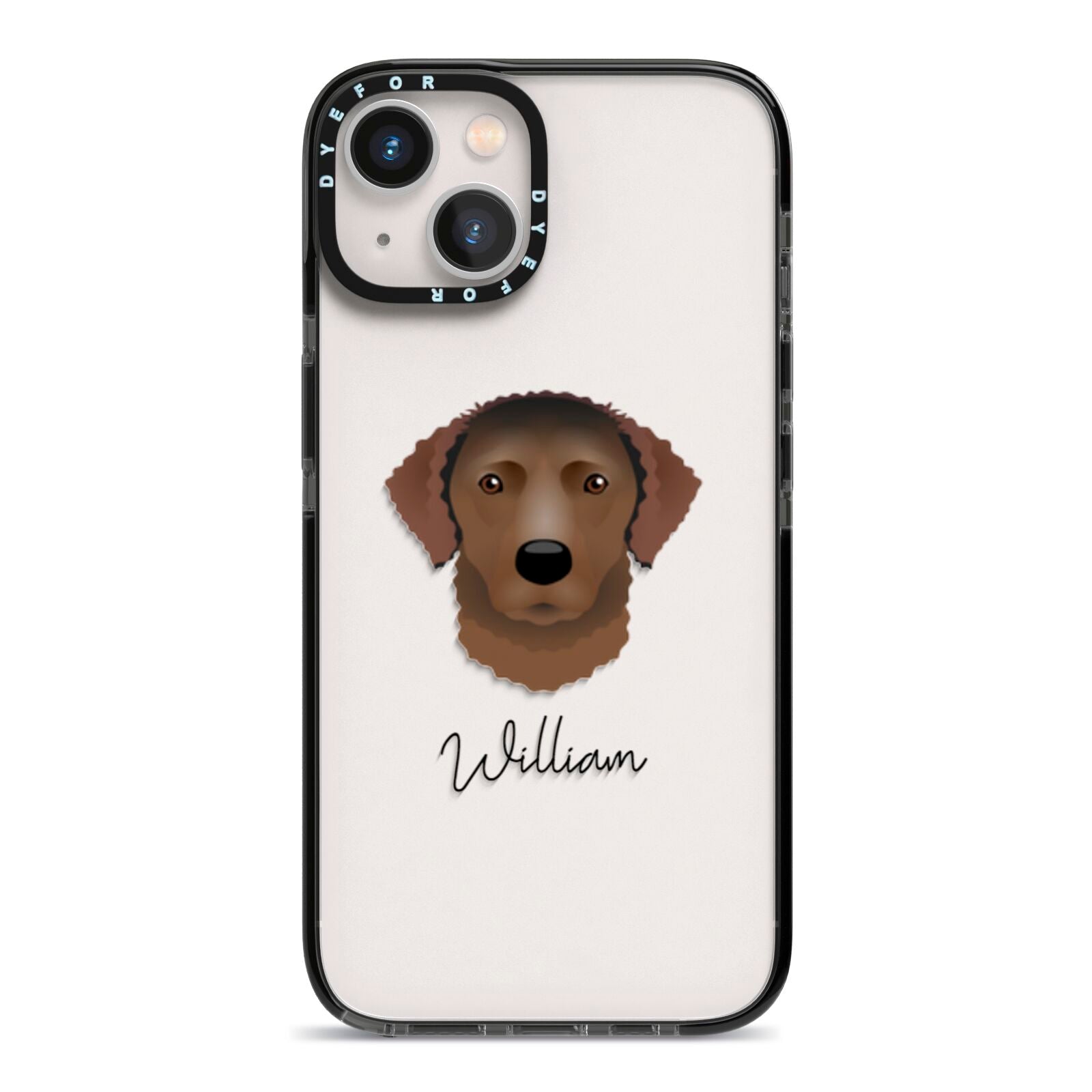 Curly Coated Retriever Personalised iPhone 13 Black Impact Case on Silver phone