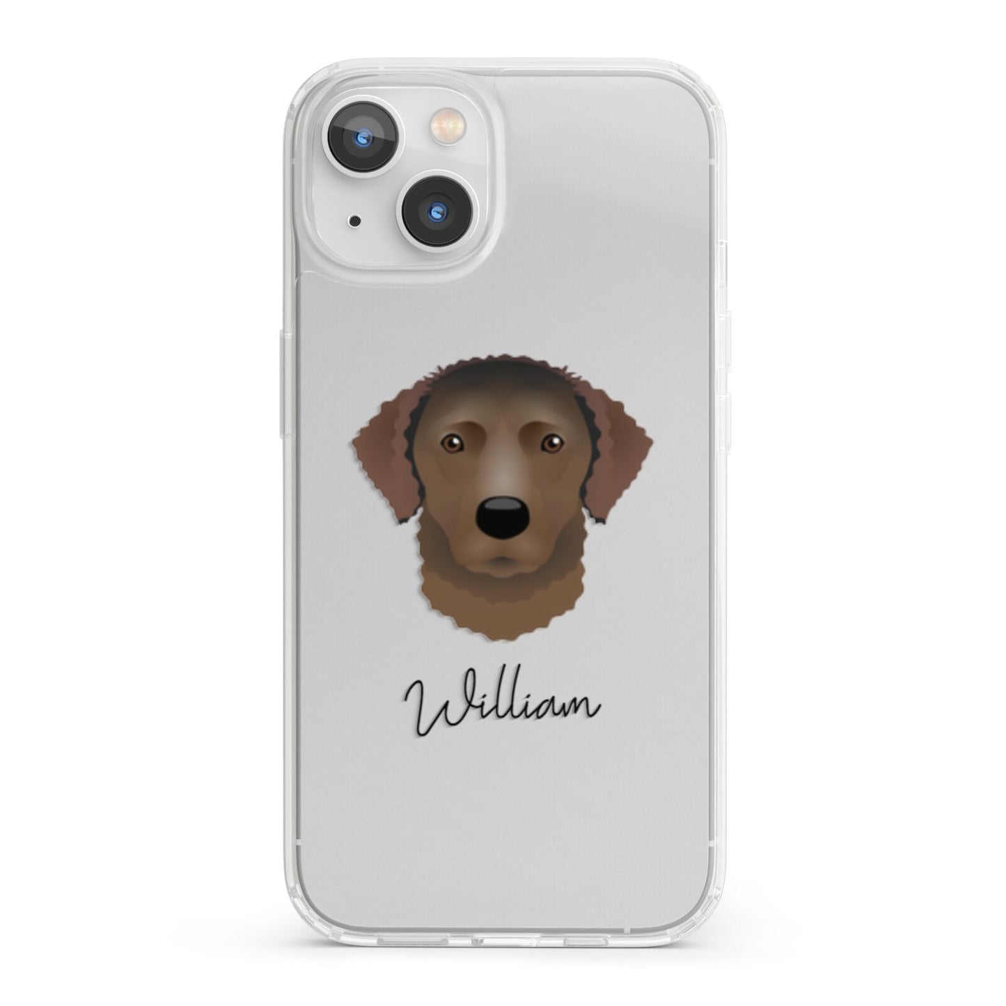 Curly Coated Retriever Personalised iPhone 13 Clear Bumper Case