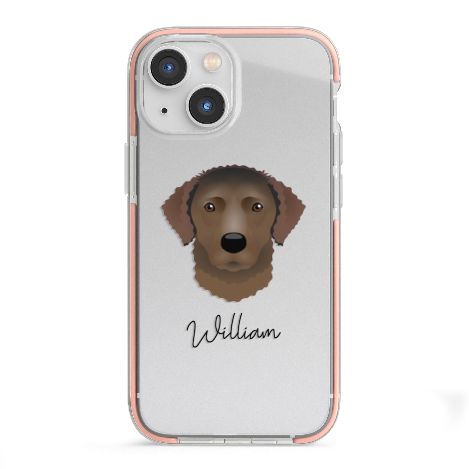 Curly Coated Retriever Personalised iPhone 13 Mini TPU Impact Case with Pink Edges