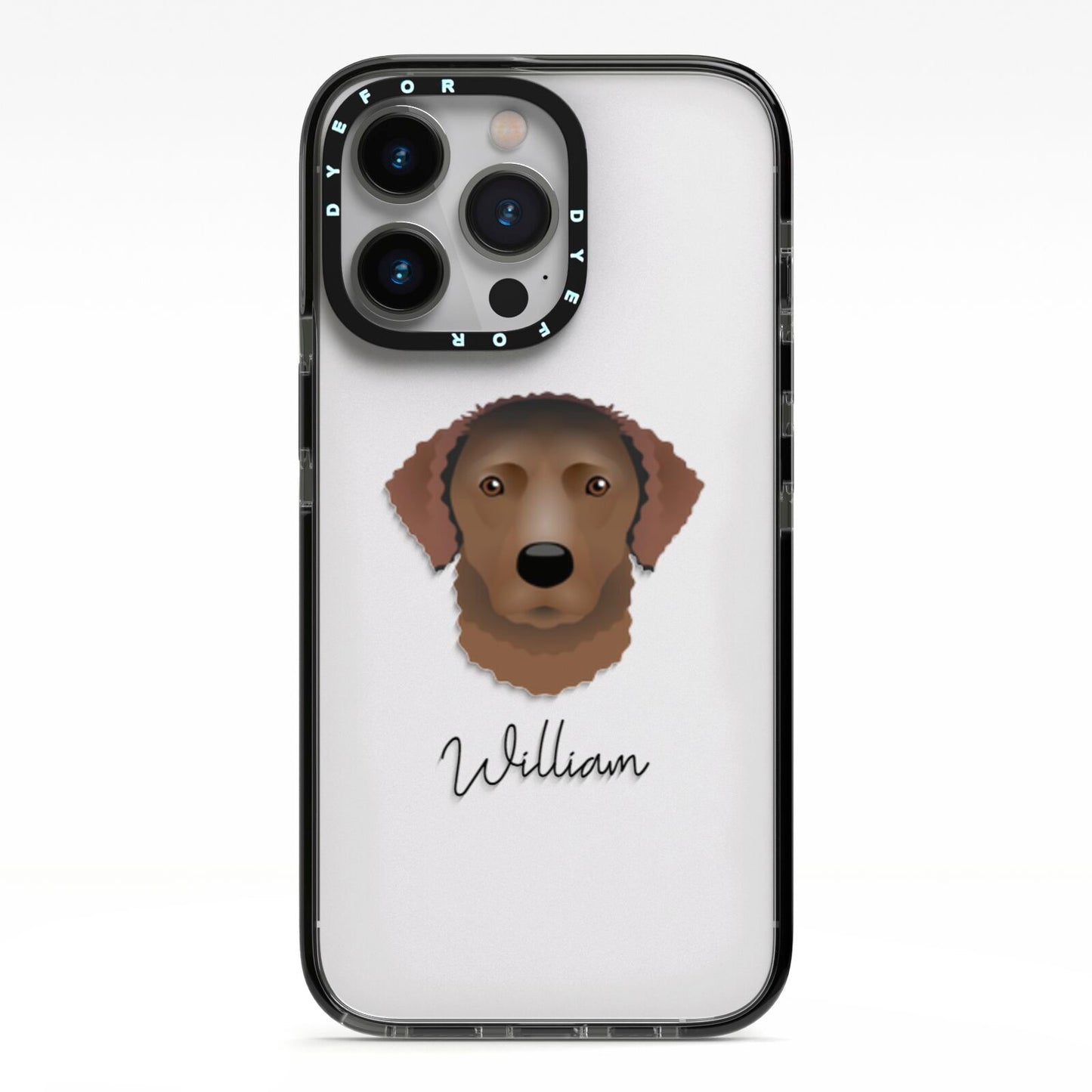Curly Coated Retriever Personalised iPhone 13 Pro Black Impact Case on Silver phone