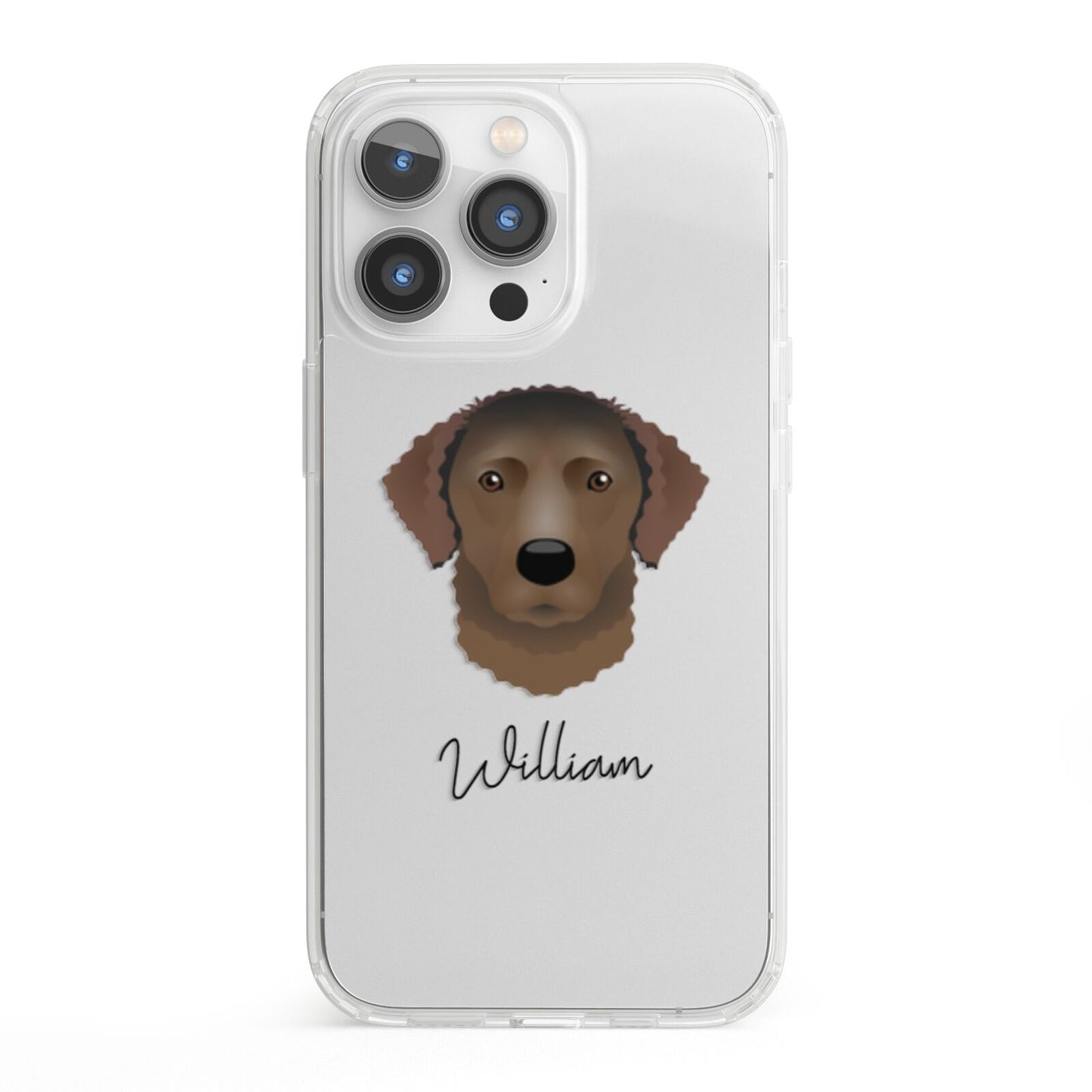Curly Coated Retriever Personalised iPhone 13 Pro Clear Bumper Case