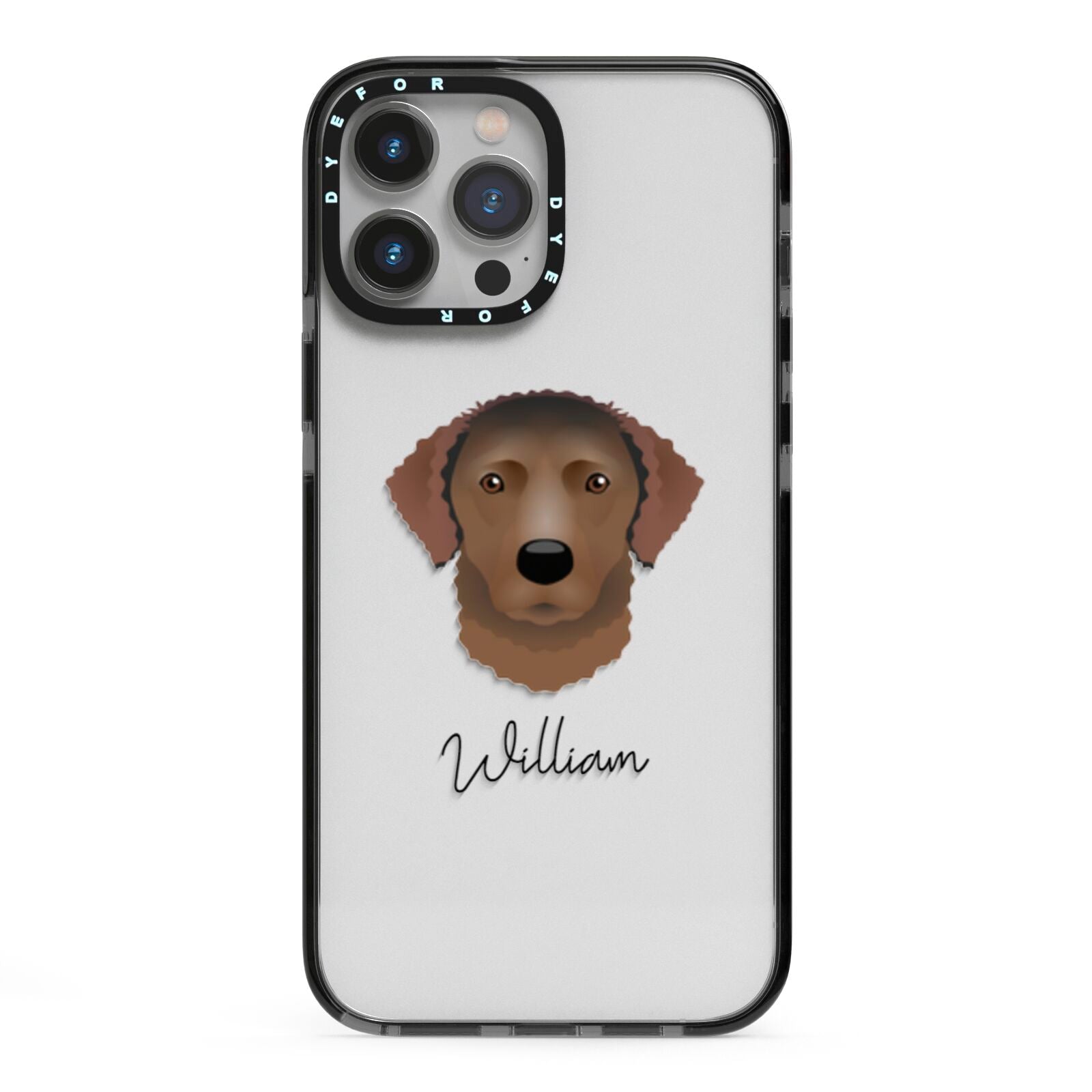 Curly Coated Retriever Personalised iPhone 13 Pro Max Black Impact Case on Silver phone