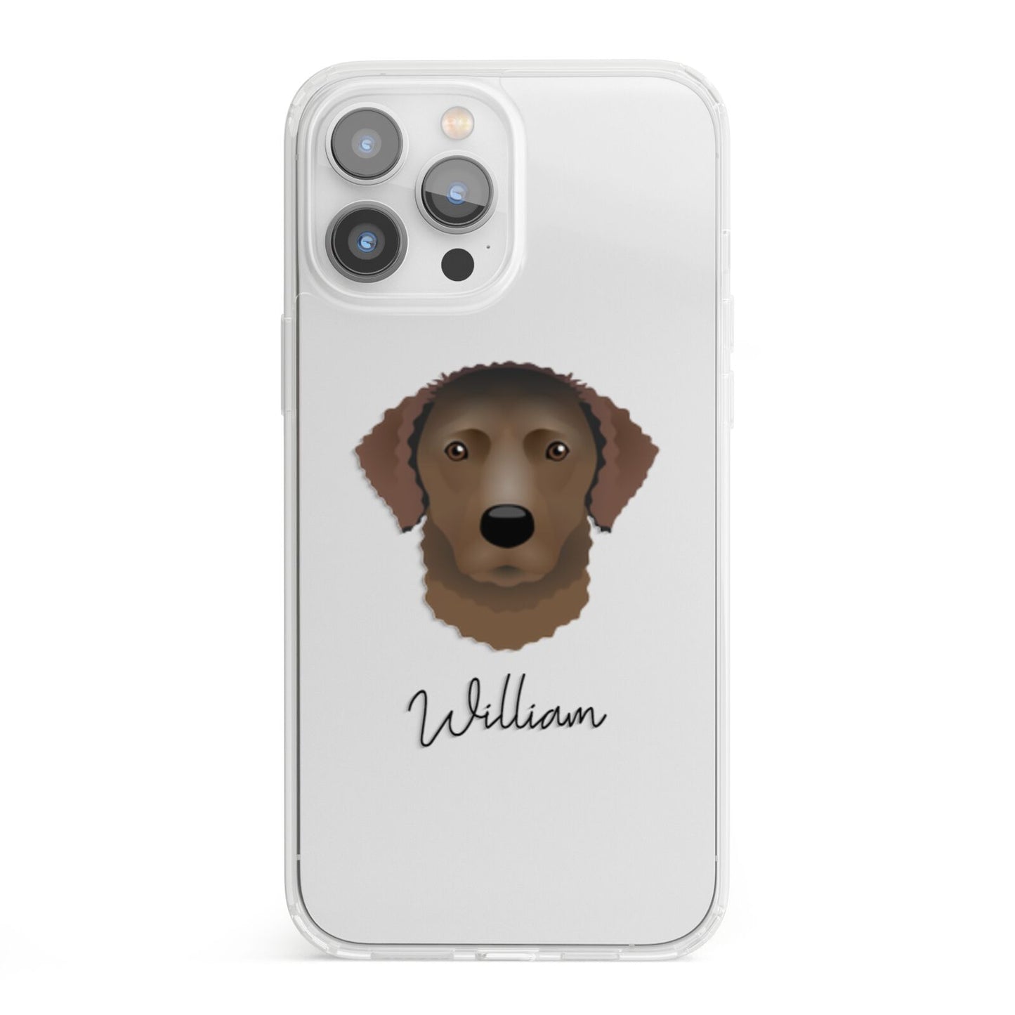 Curly Coated Retriever Personalised iPhone 13 Pro Max Clear Bumper Case