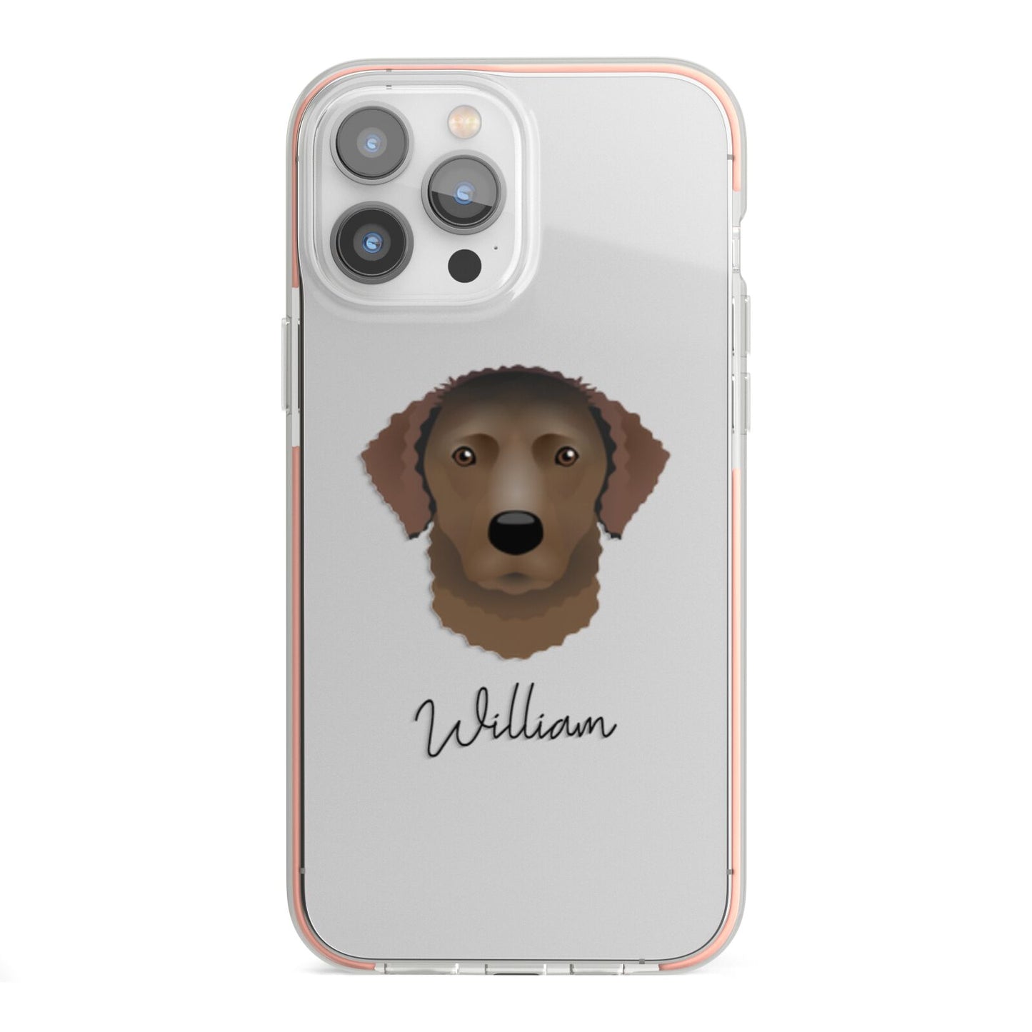 Curly Coated Retriever Personalised iPhone 13 Pro Max TPU Impact Case with Pink Edges