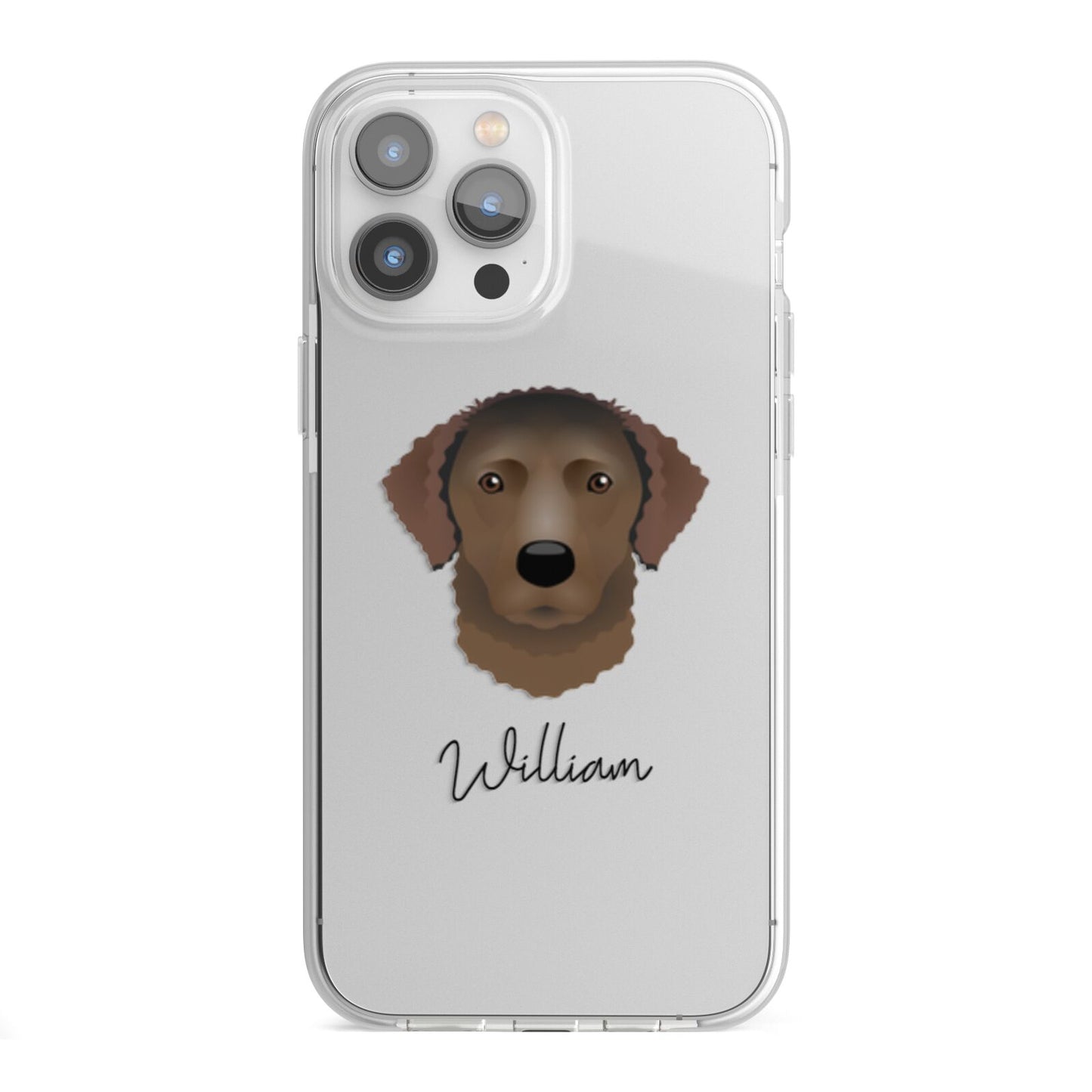 Curly Coated Retriever Personalised iPhone 13 Pro Max TPU Impact Case with White Edges
