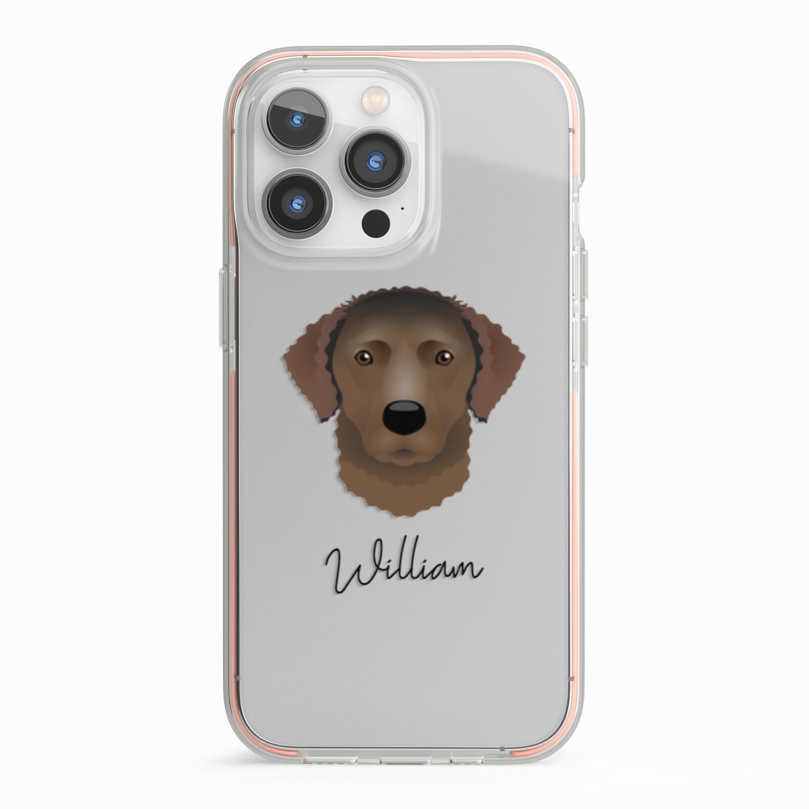 Curly Coated Retriever Personalised iPhone 13 Pro TPU Impact Case with Pink Edges