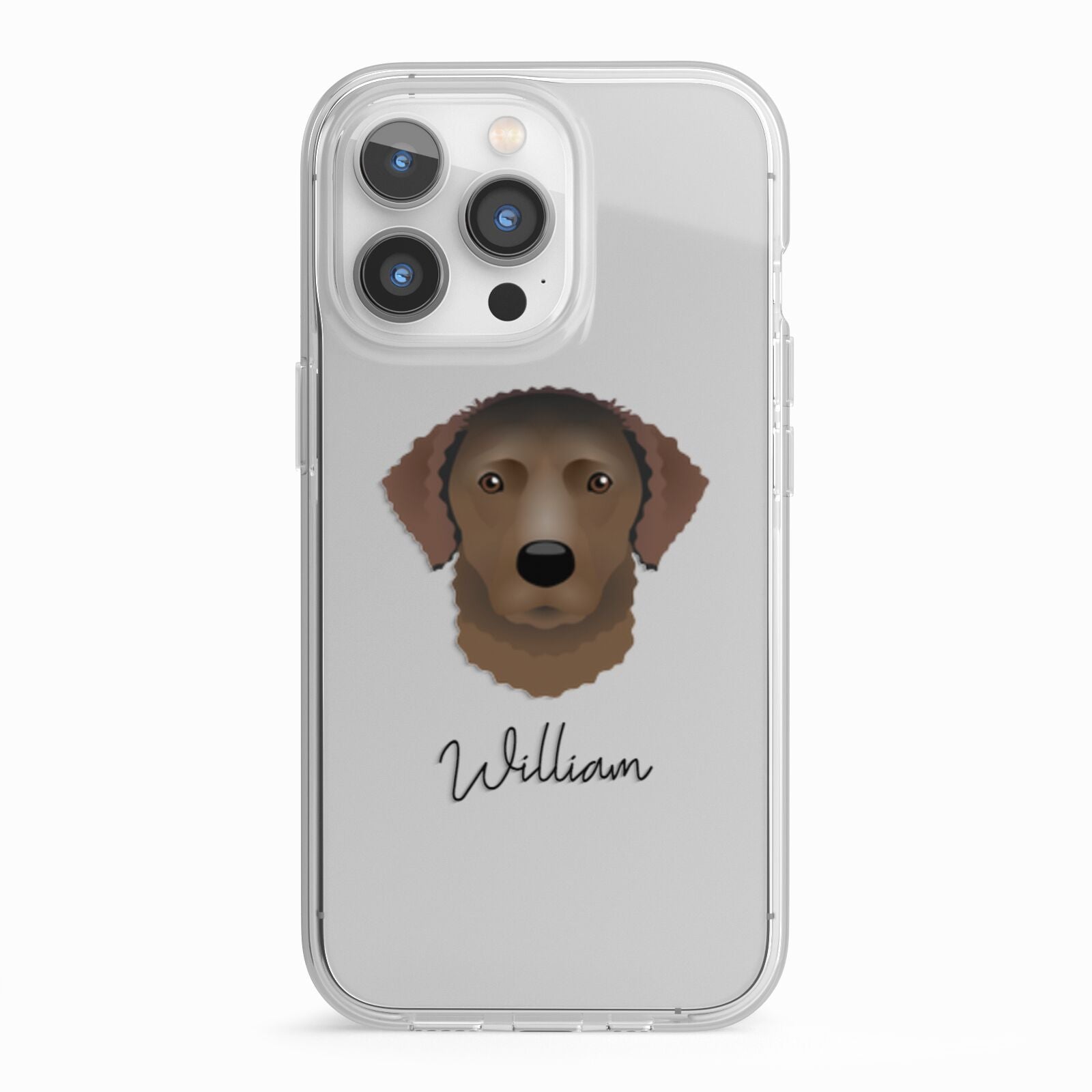 Curly Coated Retriever Personalised iPhone 13 Pro TPU Impact Case with White Edges