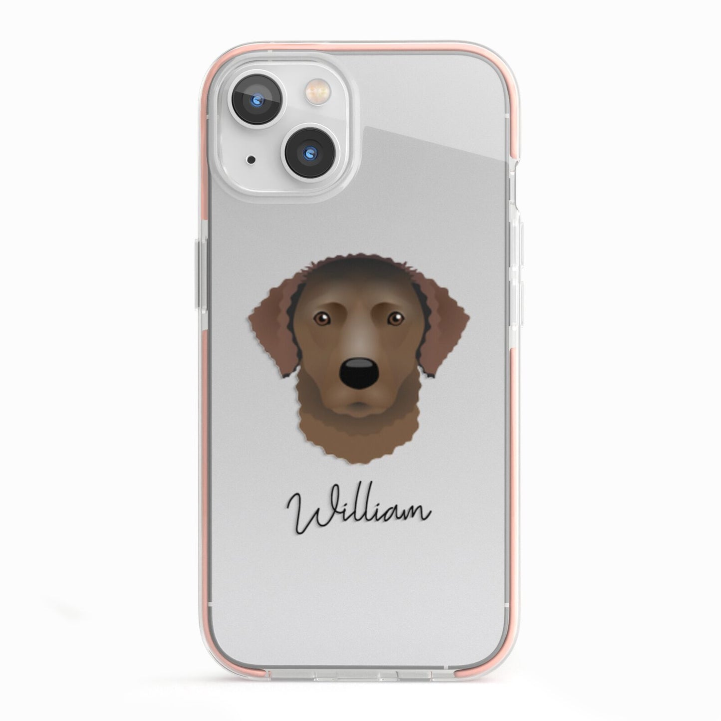 Curly Coated Retriever Personalised iPhone 13 TPU Impact Case with Pink Edges