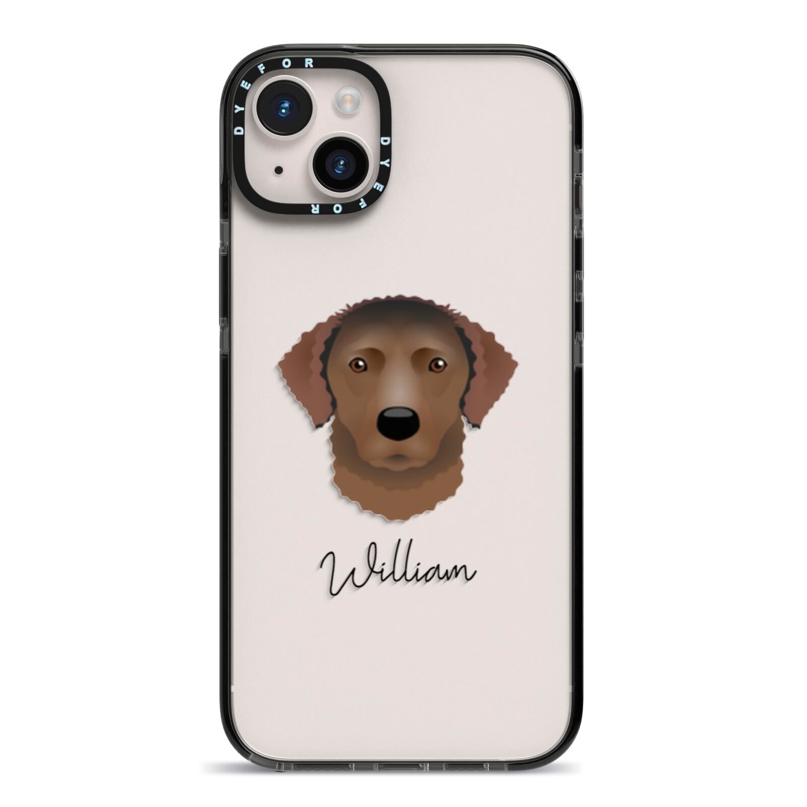 Curly Coated Retriever Personalised iPhone 14 Plus Black Impact Case on Silver phone