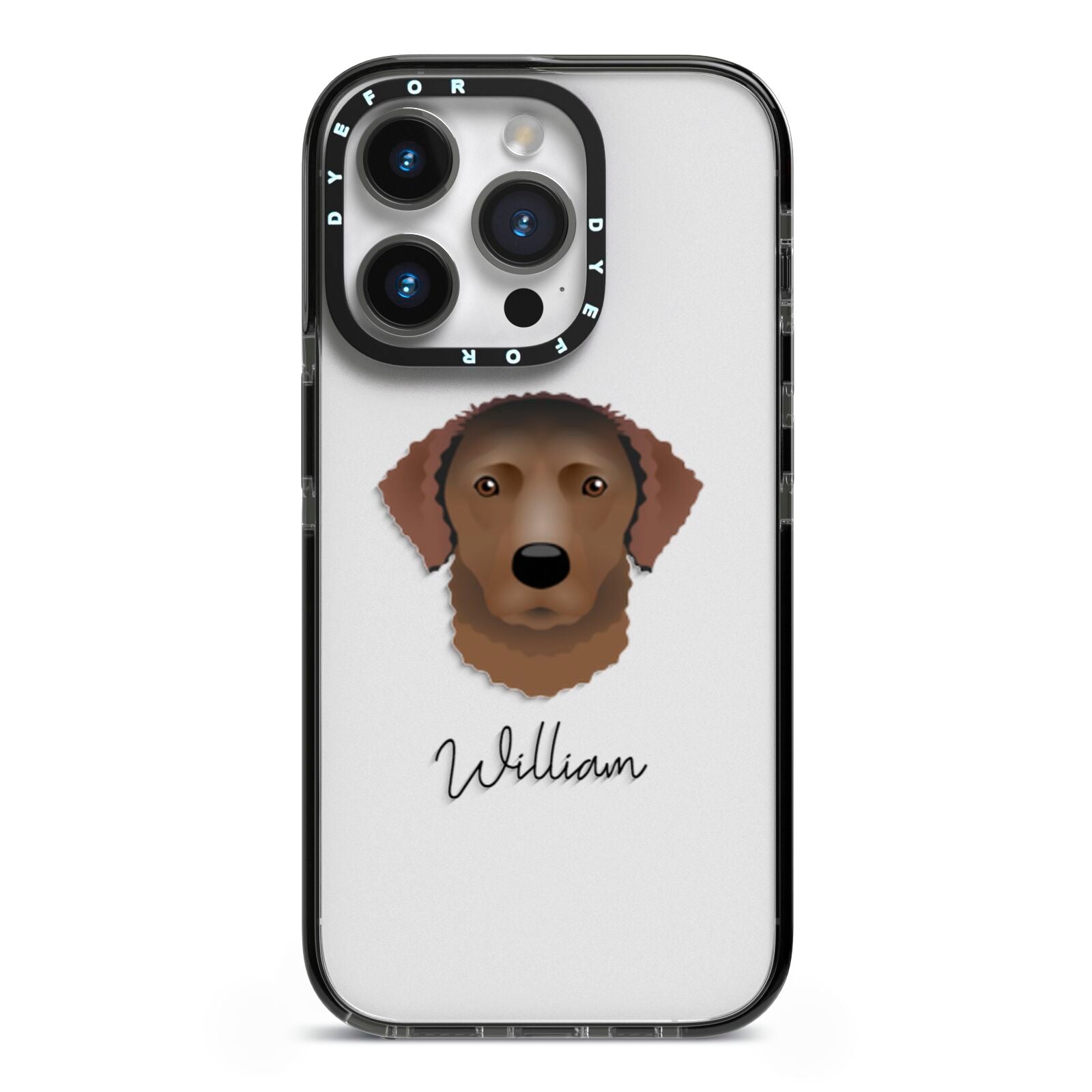 Curly Coated Retriever Personalised iPhone 14 Pro Black Impact Case on Silver phone