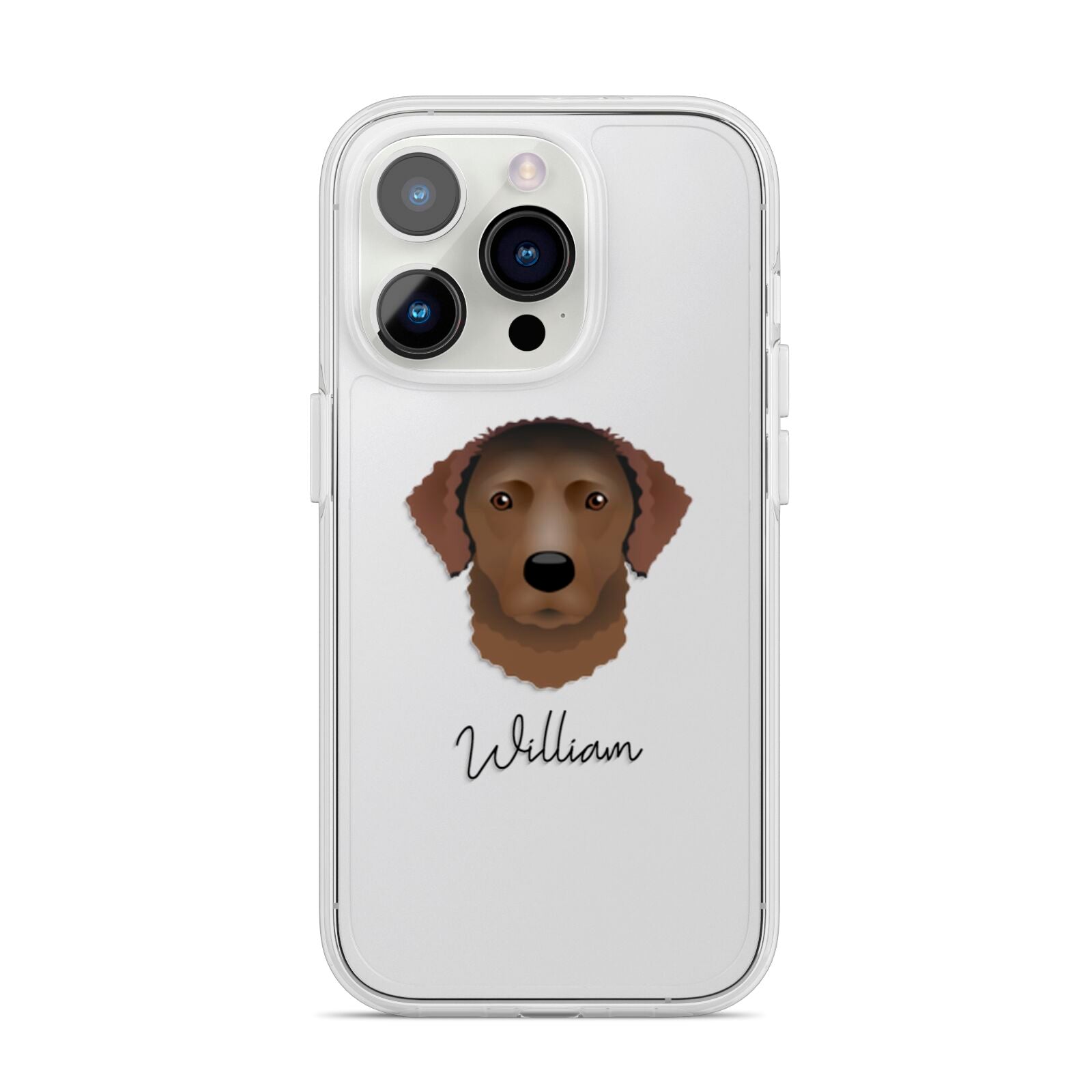 Curly Coated Retriever Personalised iPhone 14 Pro Clear Tough Case Silver