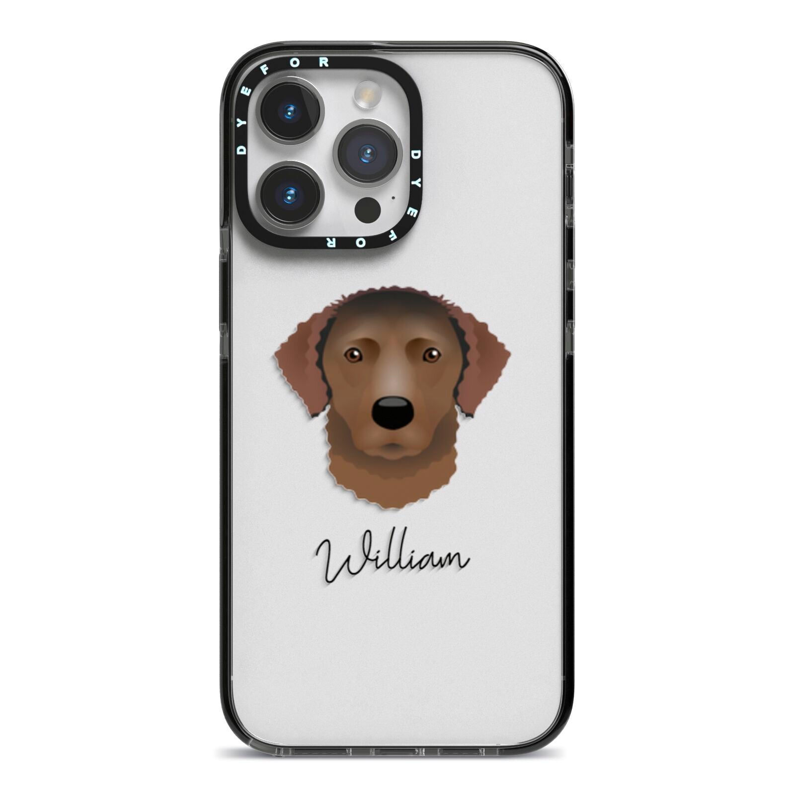 Curly Coated Retriever Personalised iPhone 14 Pro Max Black Impact Case on Silver phone