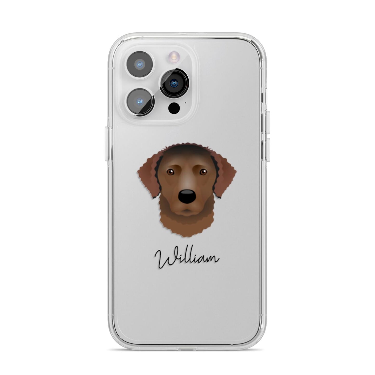 Curly Coated Retriever Personalised iPhone 14 Pro Max Clear Tough Case Silver