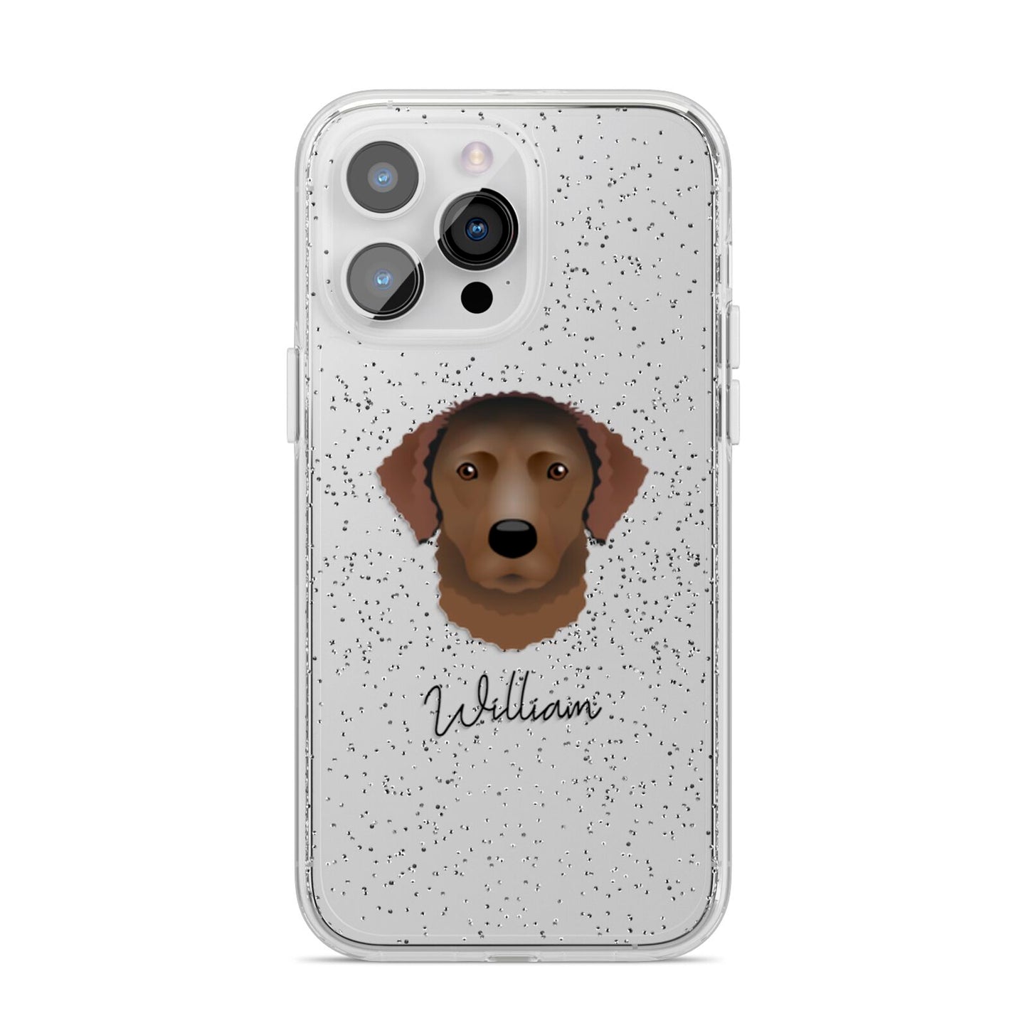Curly Coated Retriever Personalised iPhone 14 Pro Max Glitter Tough Case Silver