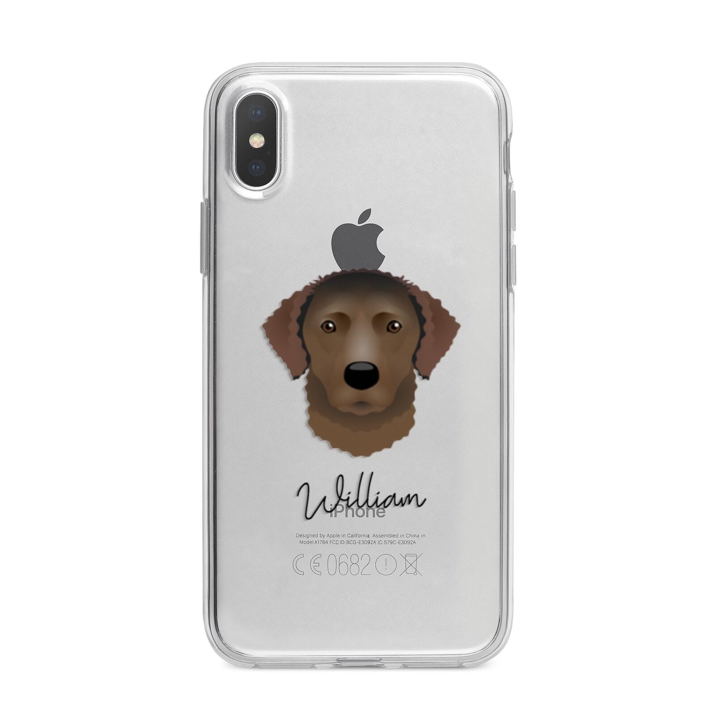 Curly Coated Retriever Personalised iPhone X Bumper Case on Silver iPhone Alternative Image 1