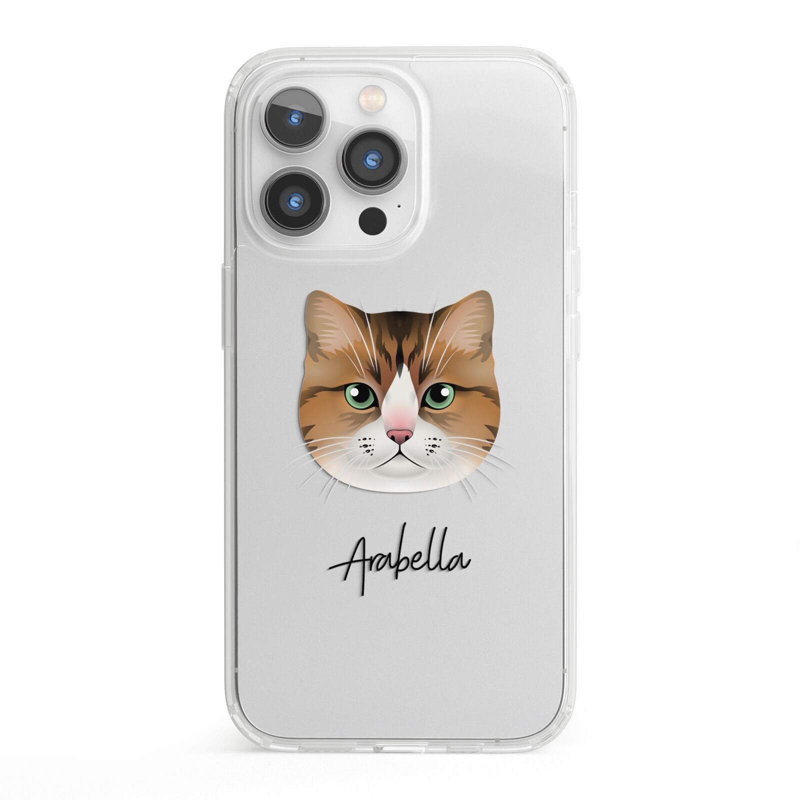Custom Cat Illustration with Name iPhone 13 Pro Clear Bumper Case