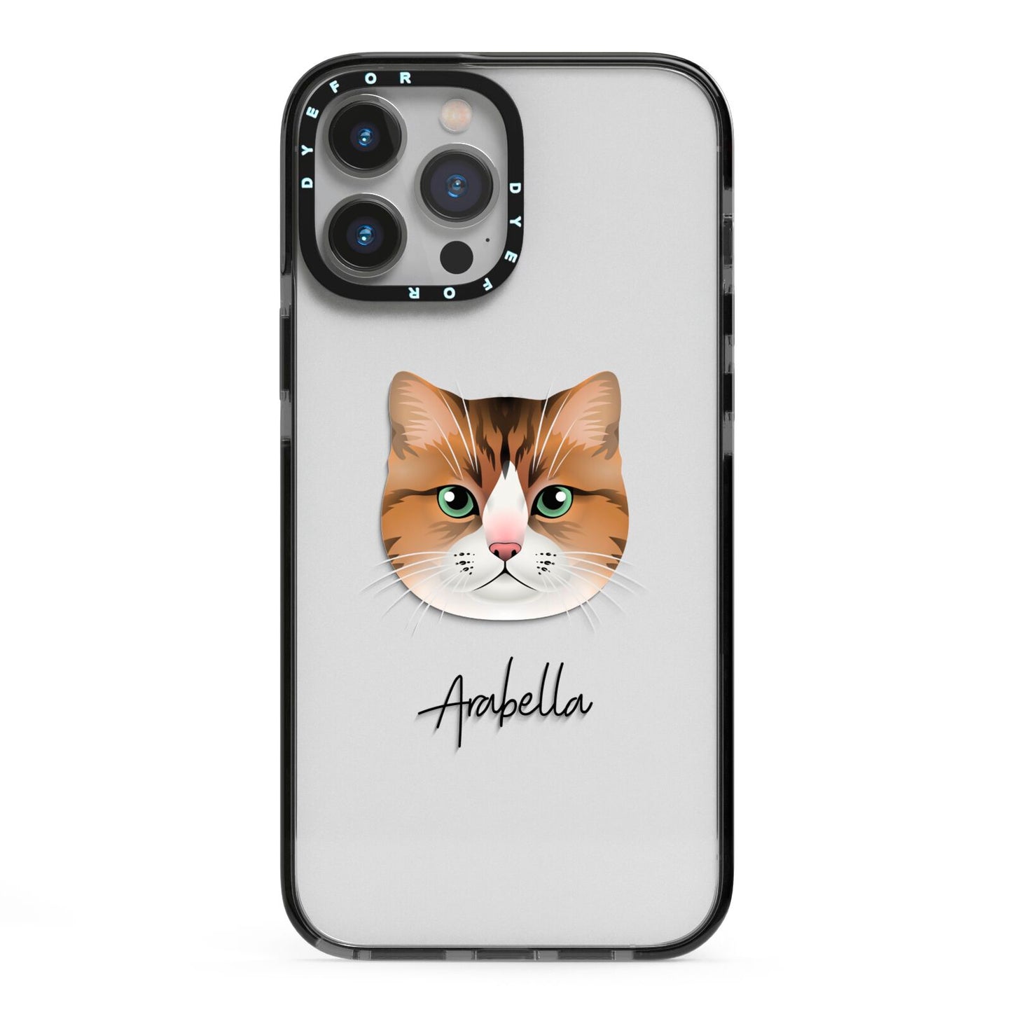 Custom Cat Illustration with Name iPhone 13 Pro Max Black Impact Case on Silver phone