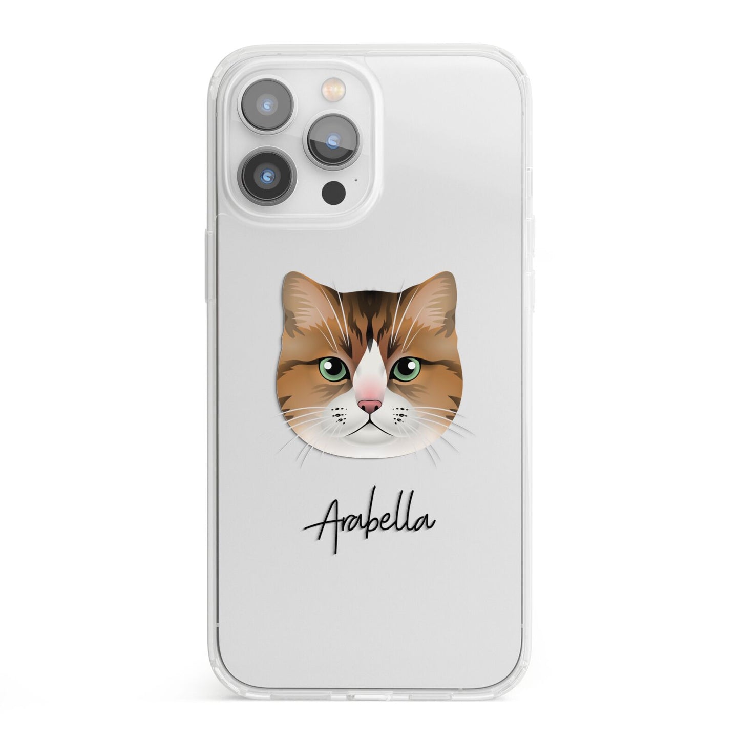 Custom Cat Illustration with Name iPhone 13 Pro Max Clear Bumper Case