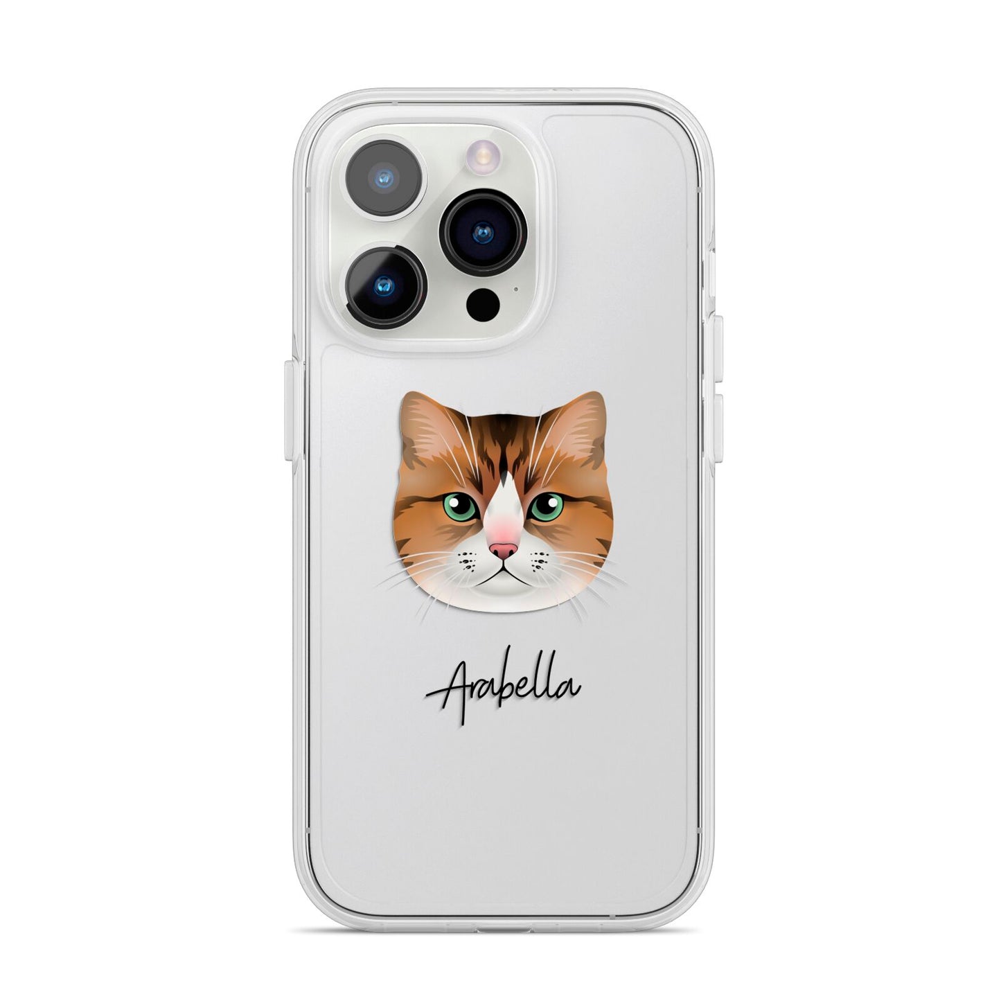 Custom Cat Illustration with Name iPhone 14 Pro Clear Tough Case Silver