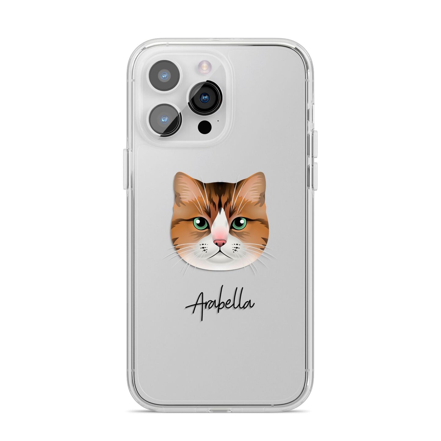Custom Cat Illustration with Name iPhone 14 Pro Max Clear Tough Case Silver