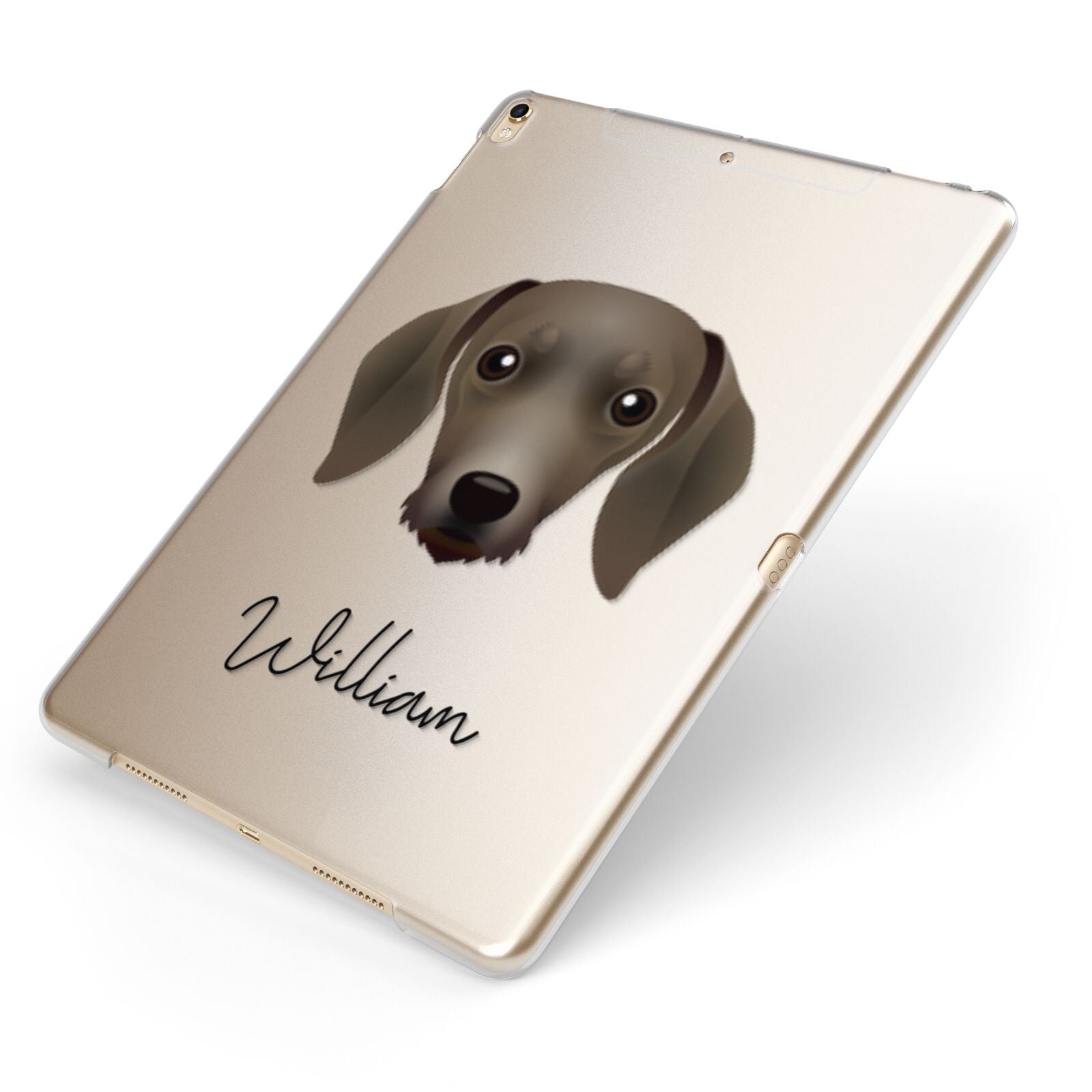 Dachshund Personalised Apple iPad Case on Gold iPad Side View