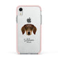 Dachshund Personalised Apple iPhone XR Impact Case Pink Edge on Silver Phone