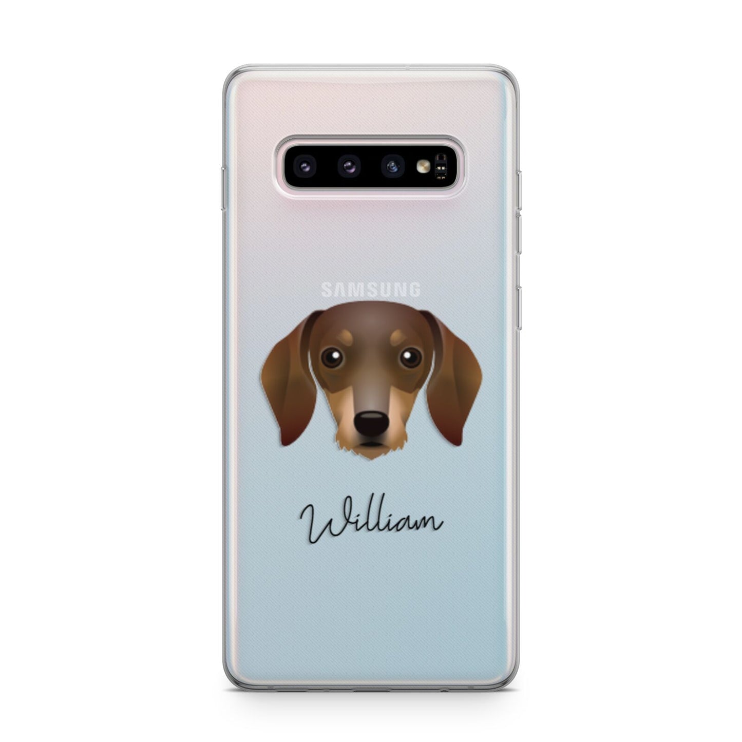 Dachshund Personalised Samsung Galaxy S10 Plus Case