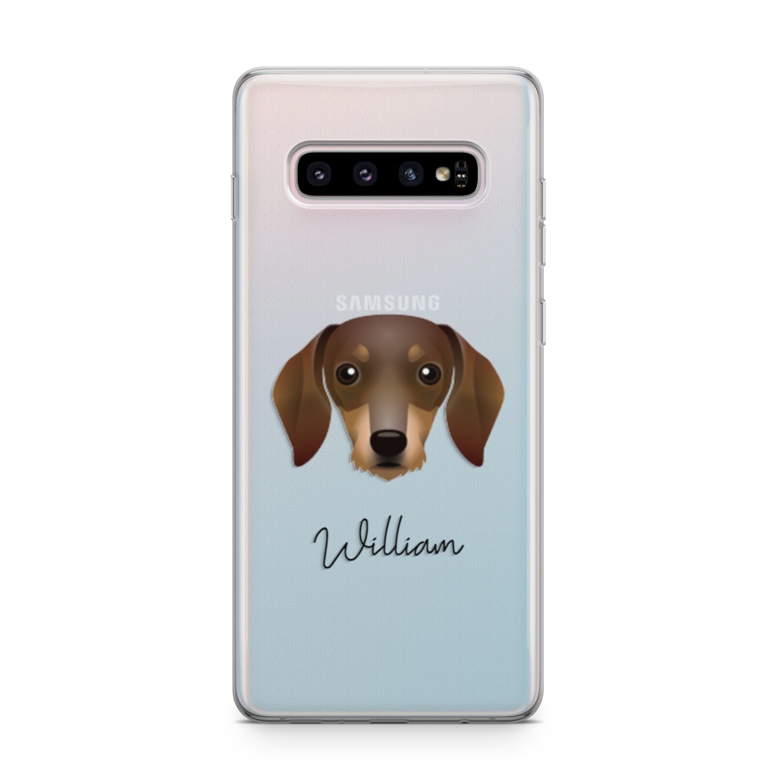Dachshund Personalised Samsung Galaxy S10 Plus Case