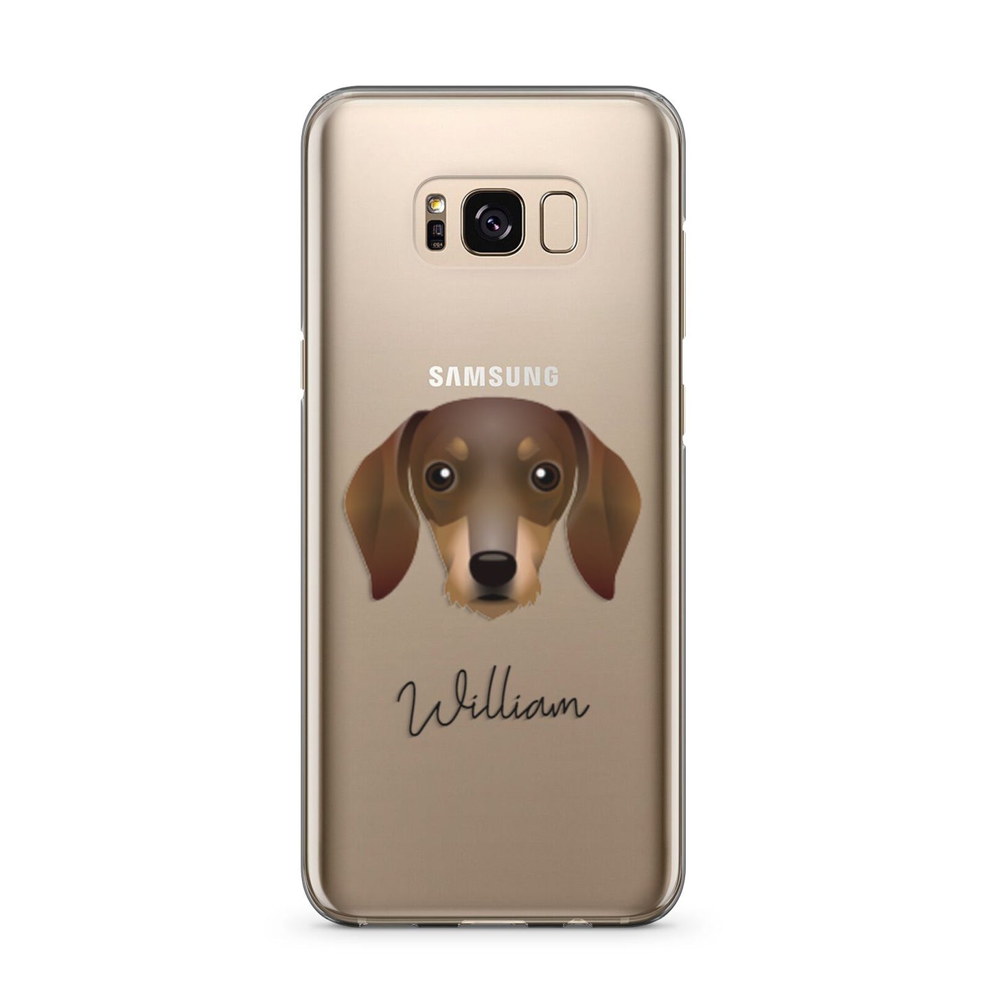 Dachshund Personalised Samsung Galaxy S8 Plus Case