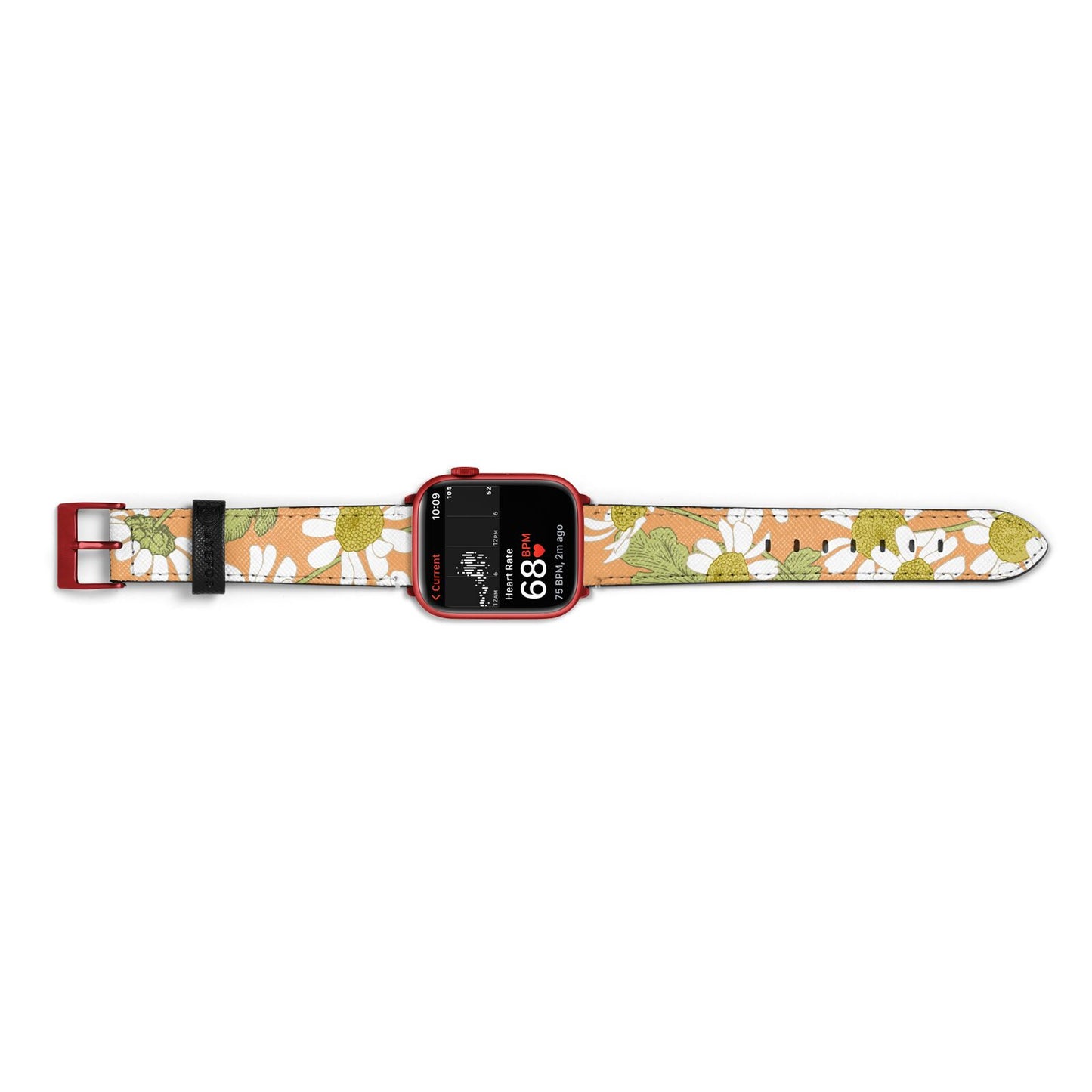 Daisies Apple Watch Strap Size 38mm Landscape Image Red Hardware