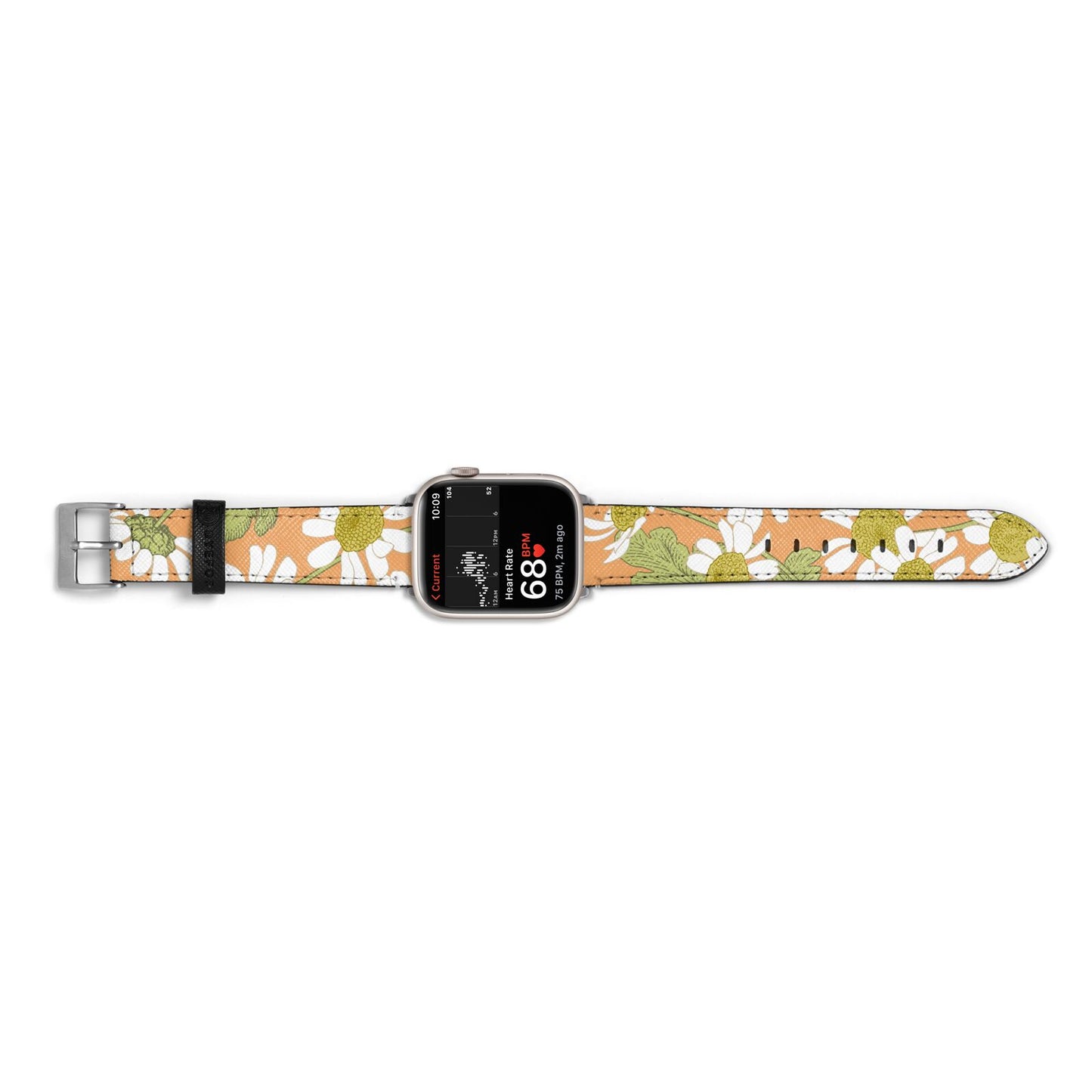 Daisies Apple Watch Strap Size 38mm Landscape Image Silver Hardware