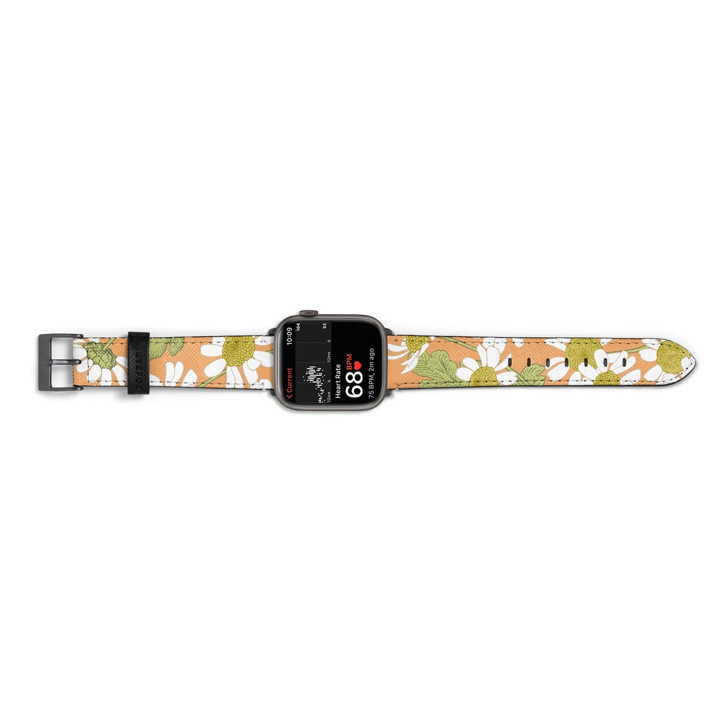 Daisies Apple Watch Strap Size 38mm Landscape Image Space Grey Hardware