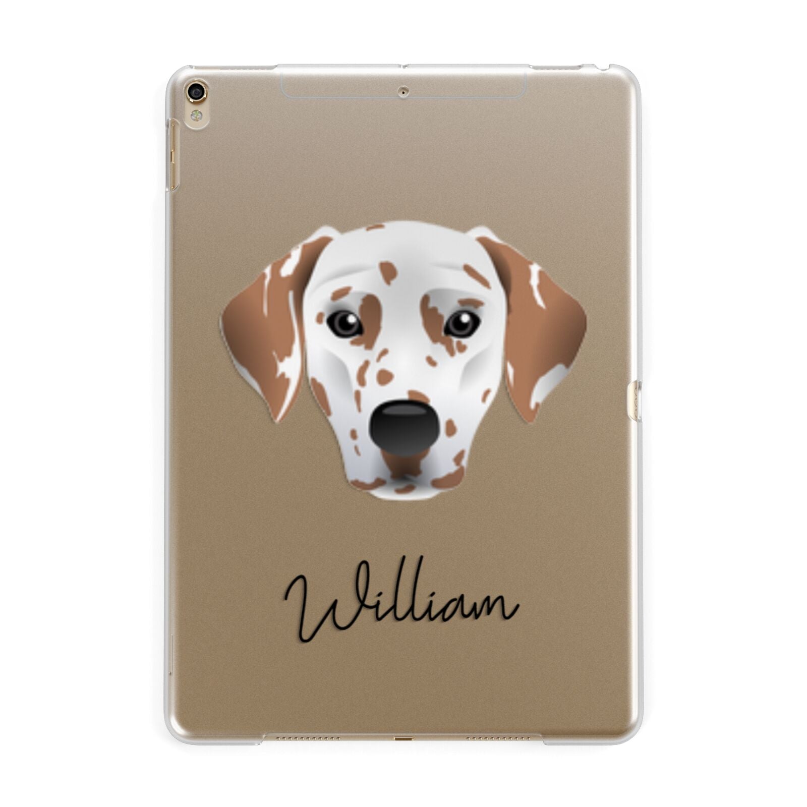 Dalmatian Personalised Apple iPad Gold Case