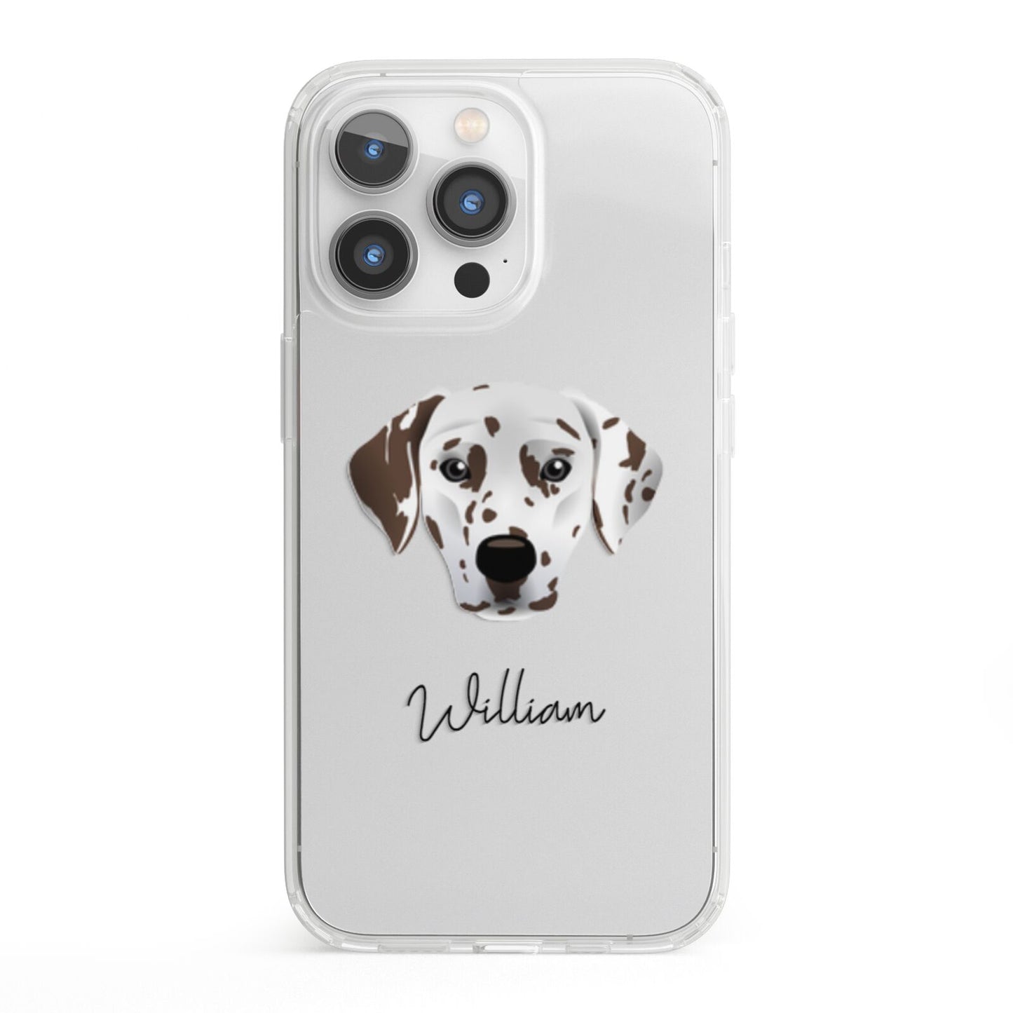 Dalmatian Personalised iPhone 13 Pro Clear Bumper Case