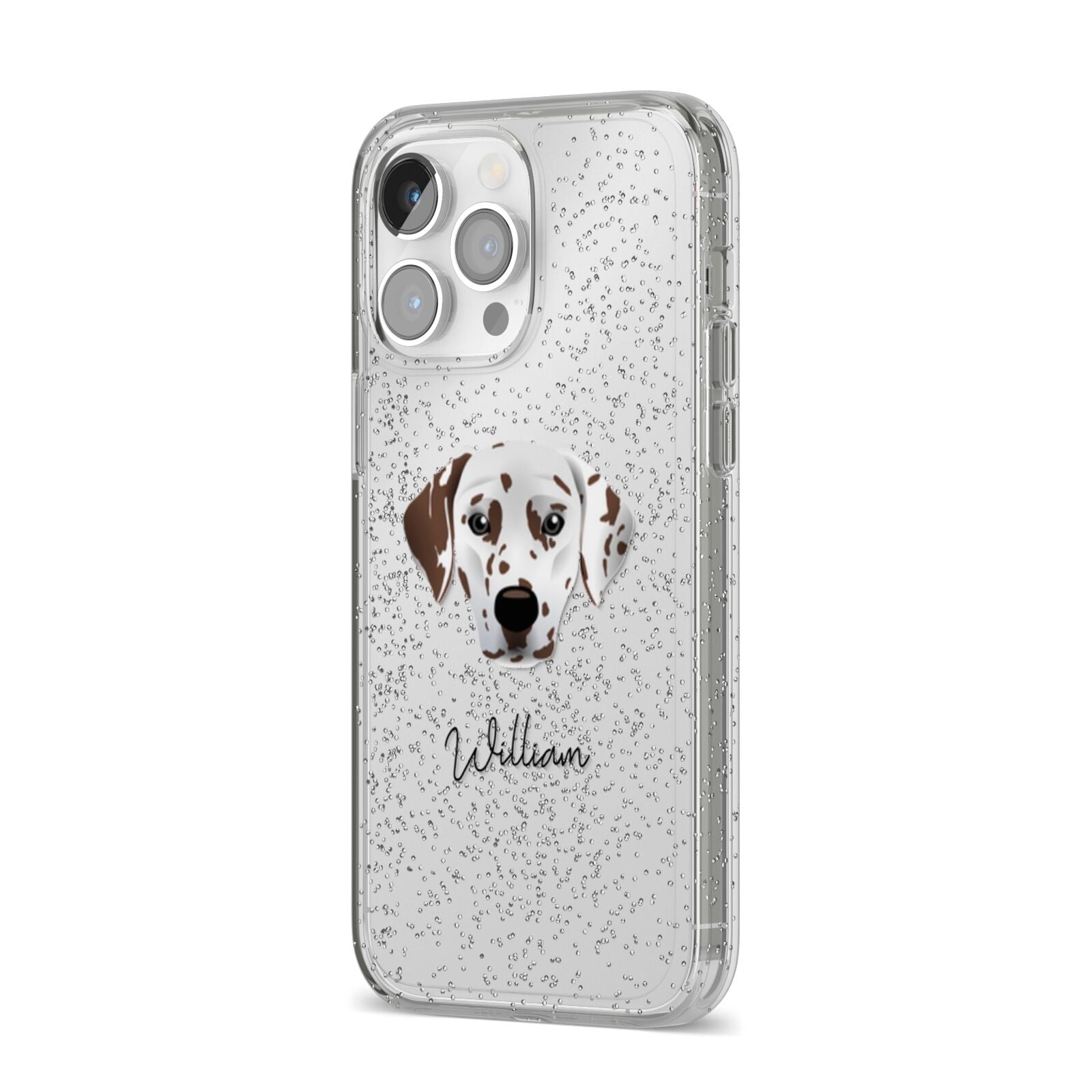 Dalmatian Personalised iPhone 14 Pro Max Glitter Tough Case Silver Angled Image