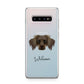 Dameranian Personalised Samsung Galaxy S10 Plus Case
