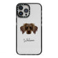 Dameranian Personalised iPhone 13 Pro Max Black Impact Case on Silver phone