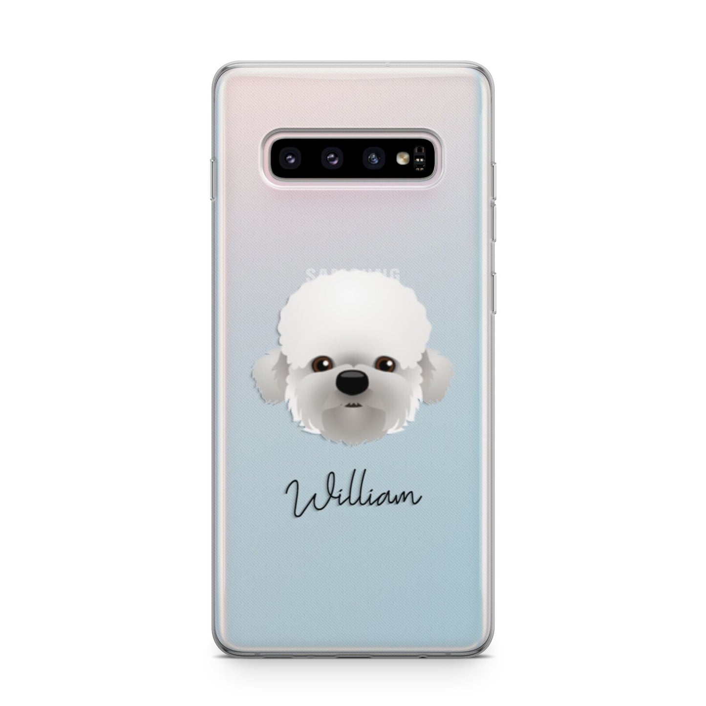 Dandie Dinmont Terrier Personalised Samsung Galaxy S10 Plus Case