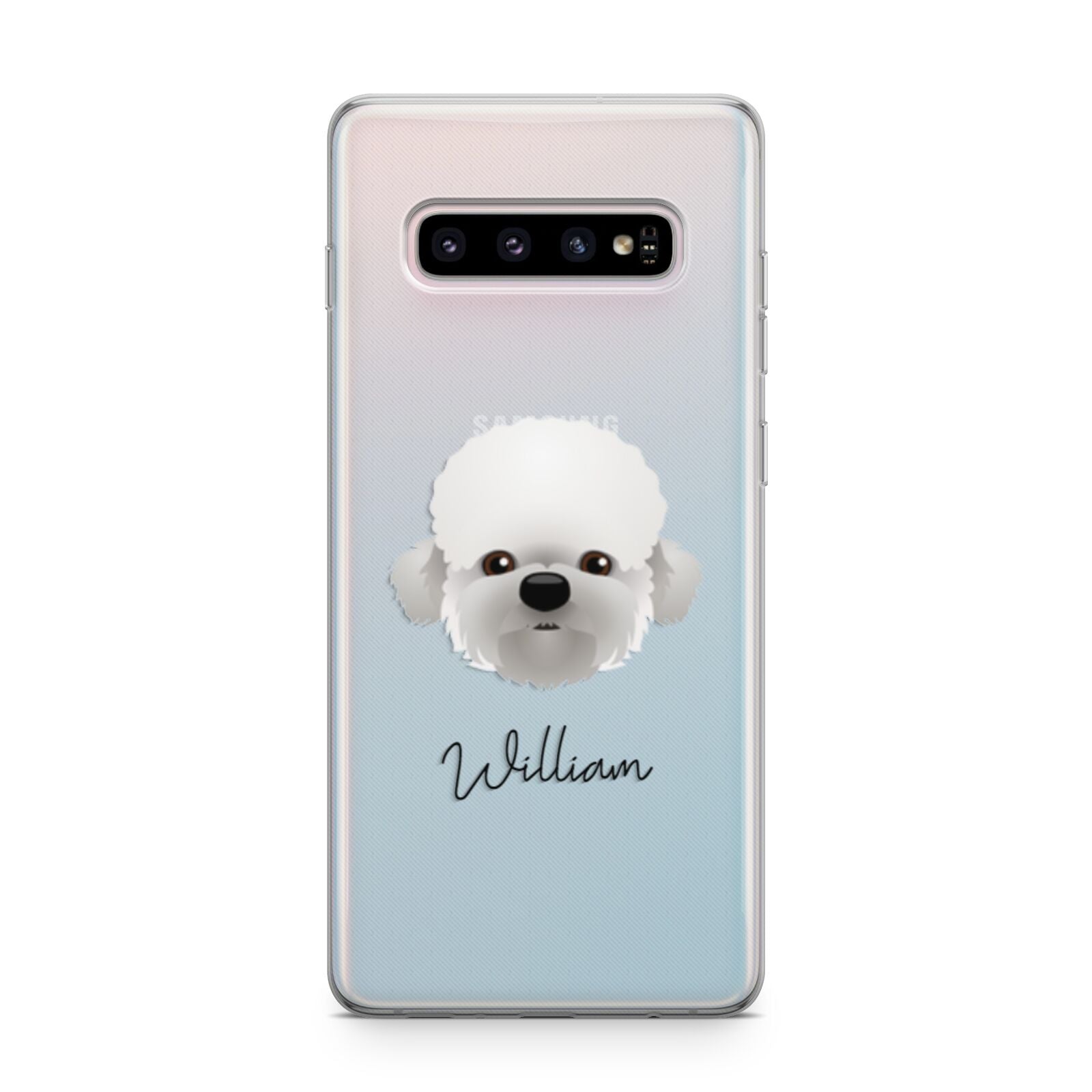 Dandie Dinmont Terrier Personalised Samsung Galaxy S10 Plus Case