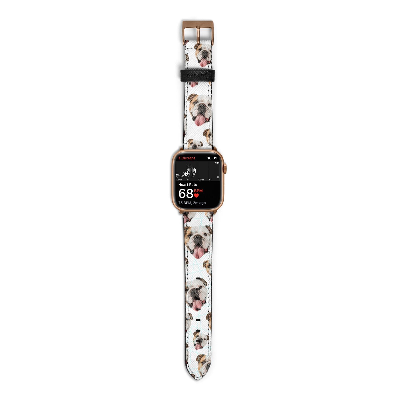 Dog Photo Face Apple Watch Strap Size 38mm with Gold Hardware