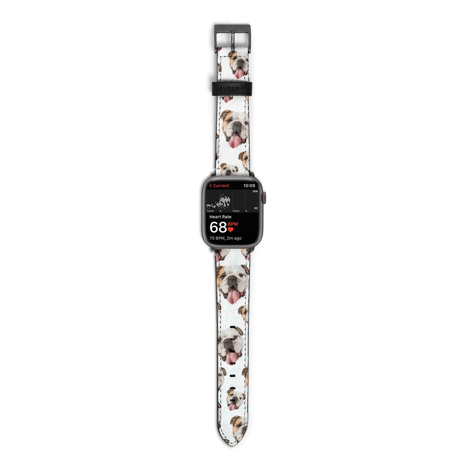 Dog Photo Face Apple Watch Strap Size 38mm with Space Grey Hardware