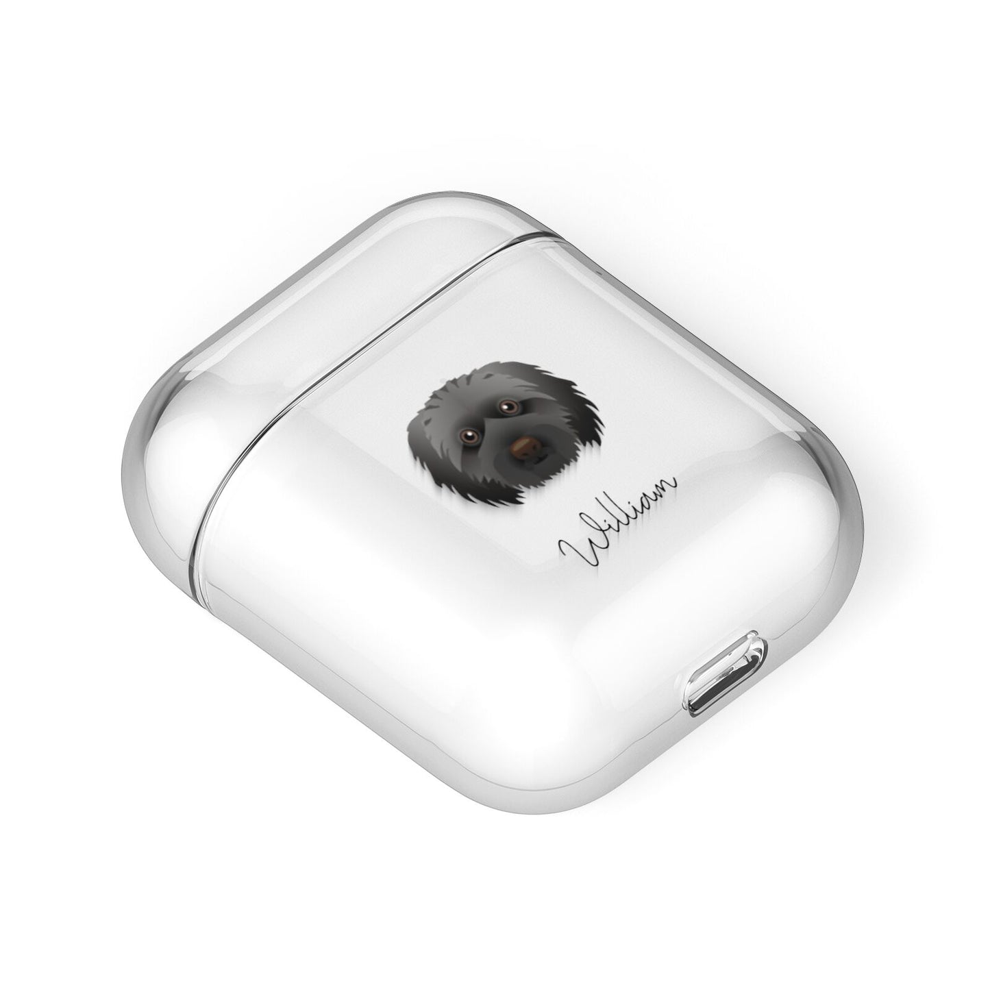 Doxiepoo Personalised AirPods Case Laid Flat