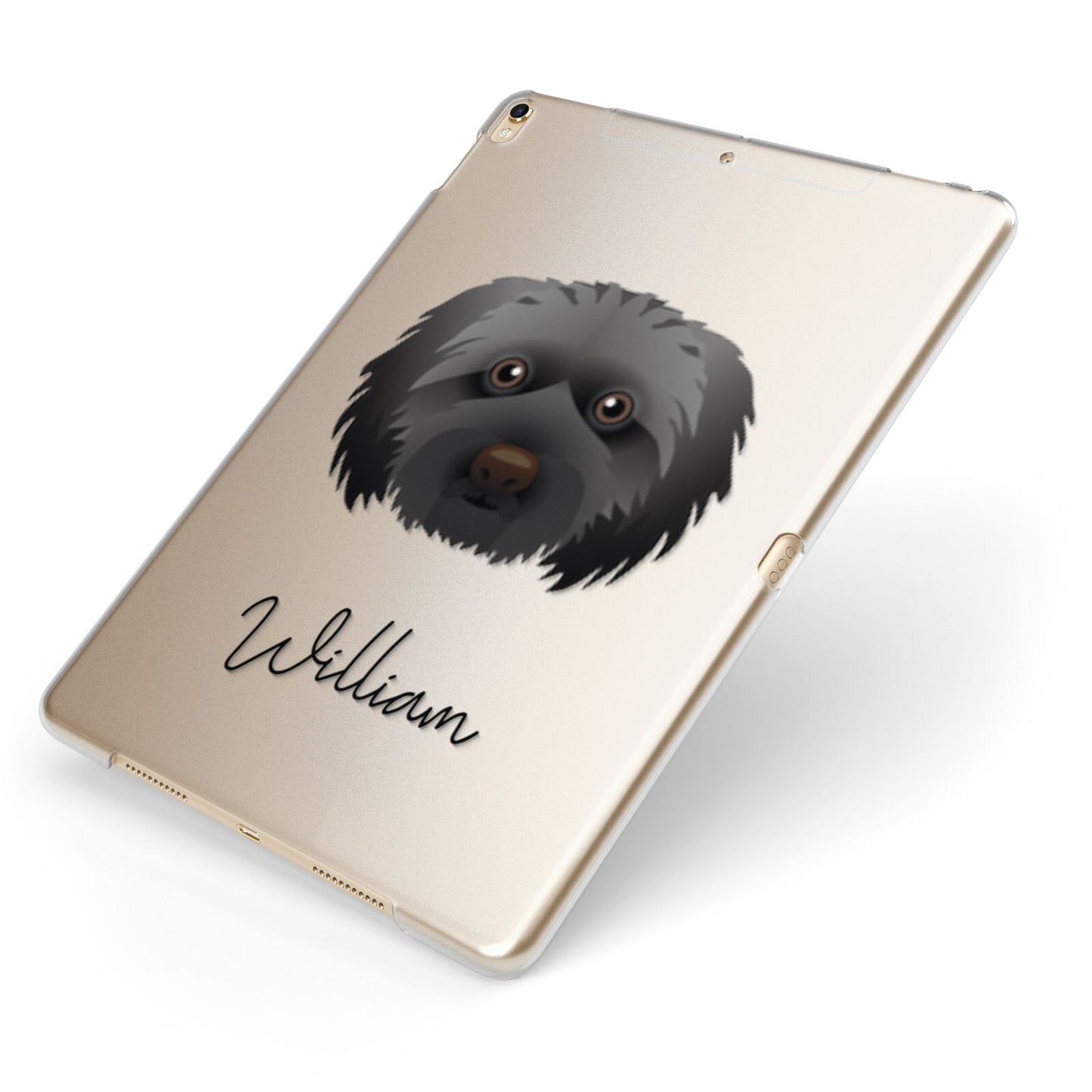 Doxiepoo Personalised Apple iPad Case on Gold iPad Side View