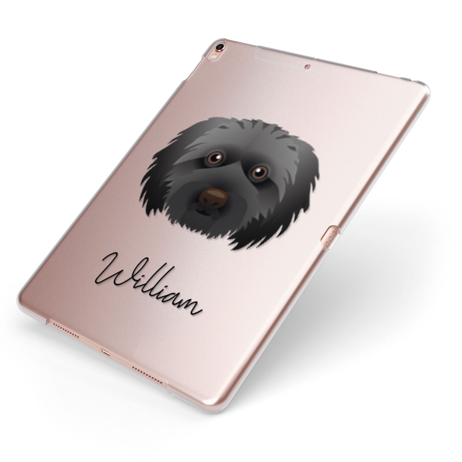 Doxiepoo Personalised Apple iPad Case on Rose Gold iPad Side View