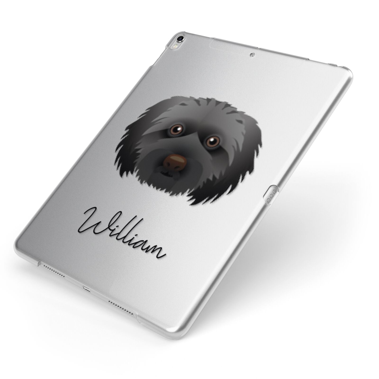 Doxiepoo Personalised Apple iPad Case on Silver iPad Side View