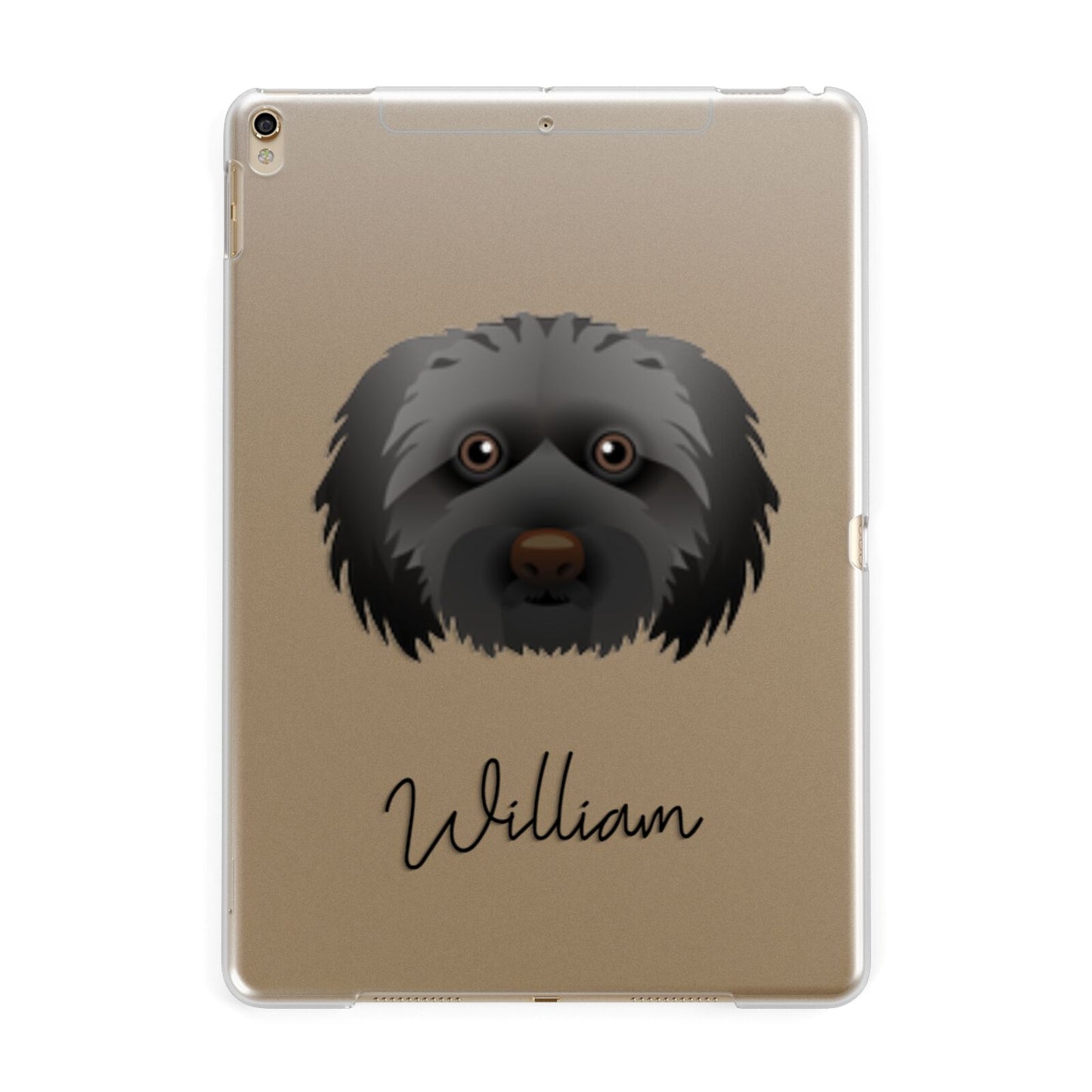 Doxiepoo Personalised Apple iPad Gold Case