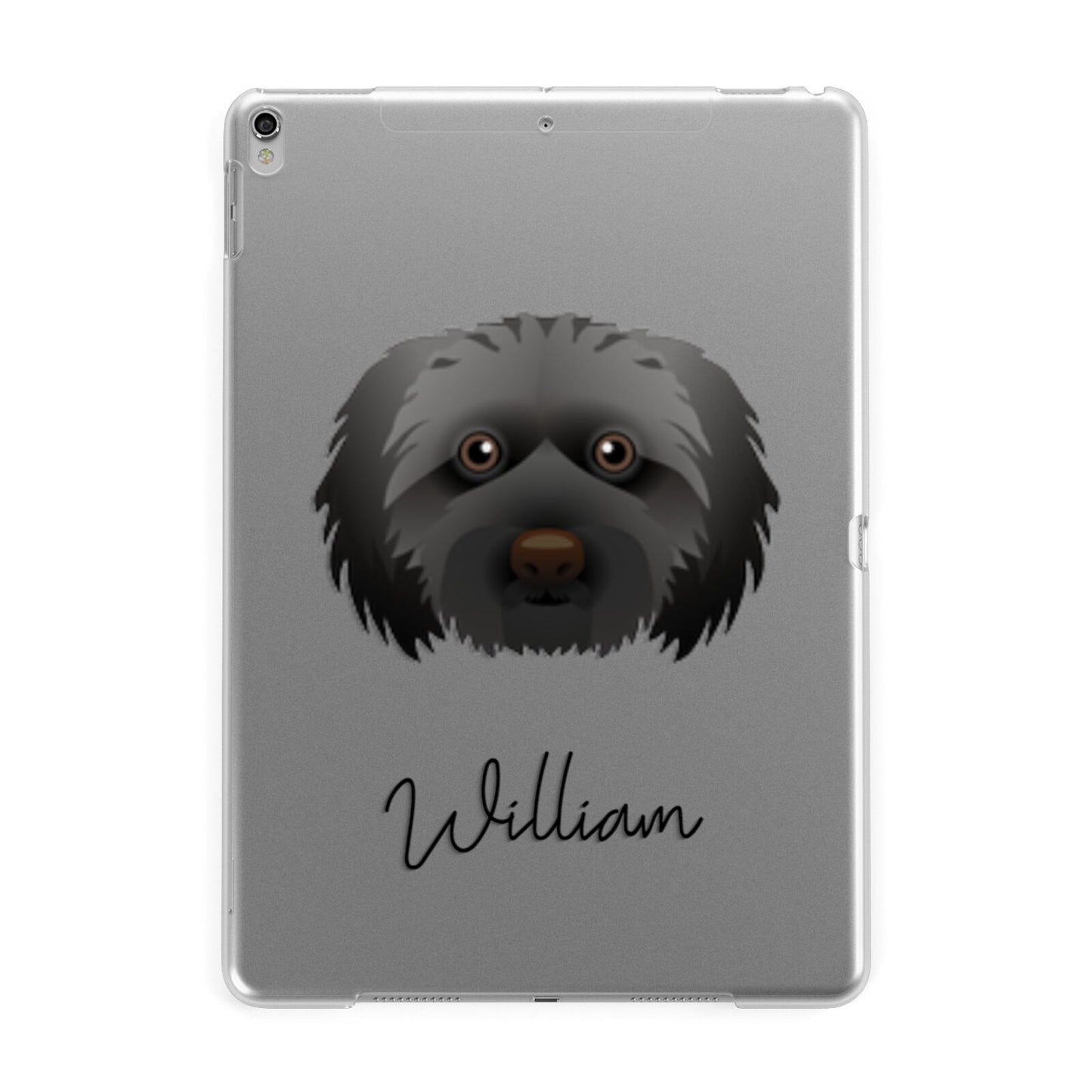 Doxiepoo Personalised Apple iPad Silver Case