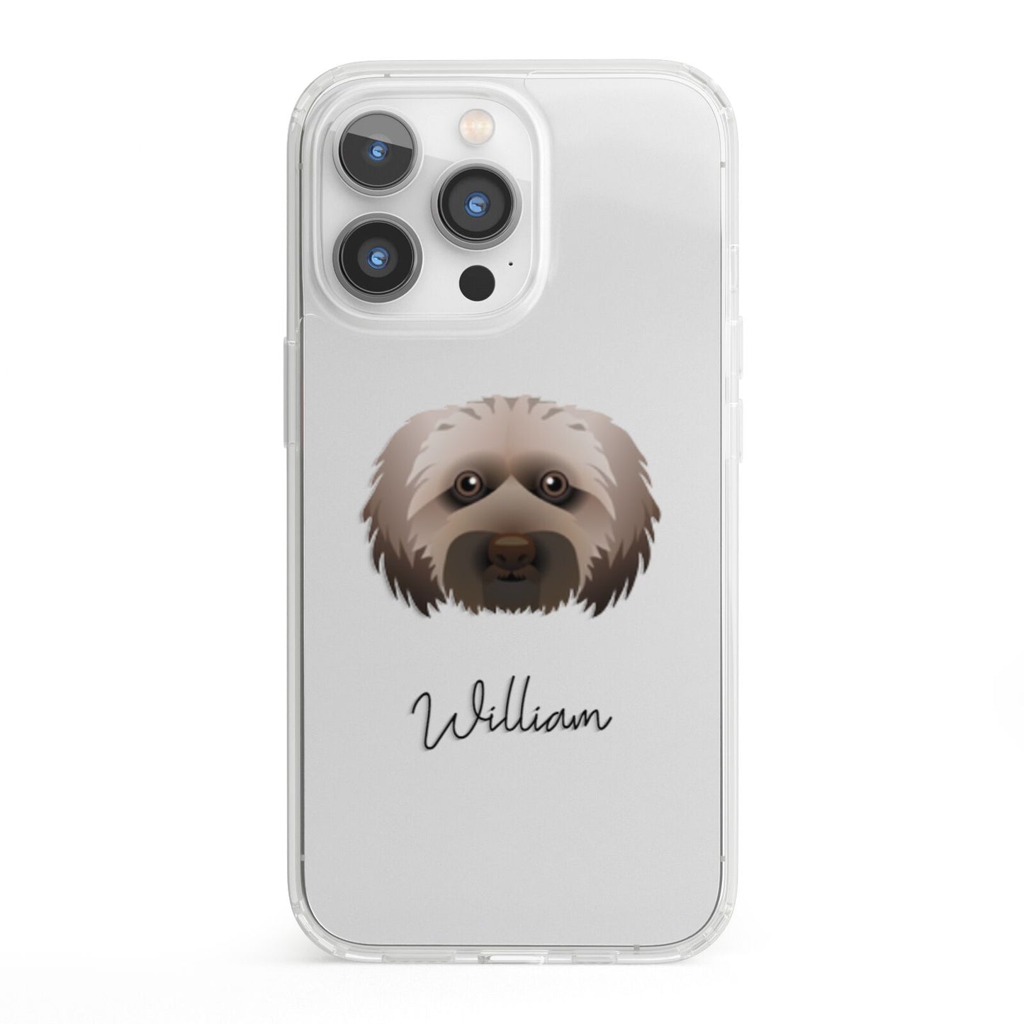 Doxiepoo Personalised iPhone 13 Pro Clear Bumper Case
